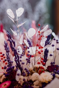 A vibrant arrangement of dried flowers, featuring delicate white oval petals and a mix of purple and red blossoms. The texture and contrast of the flowers create an intricate and artistic display.