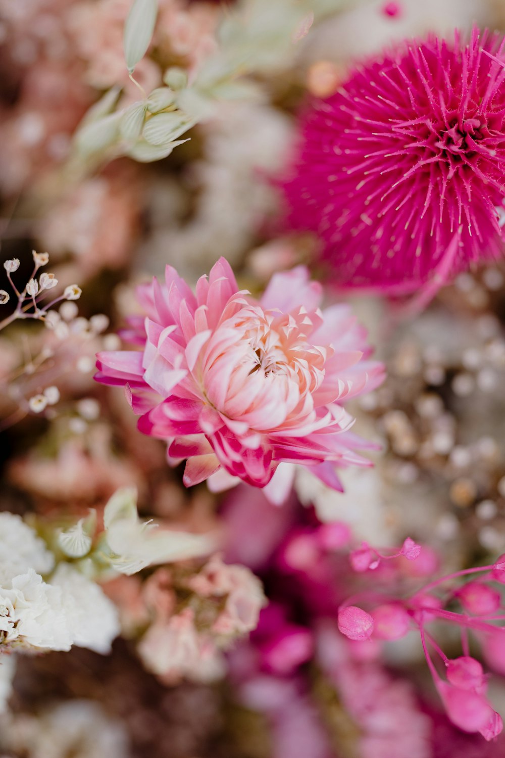 a close up of a bunch of flowers