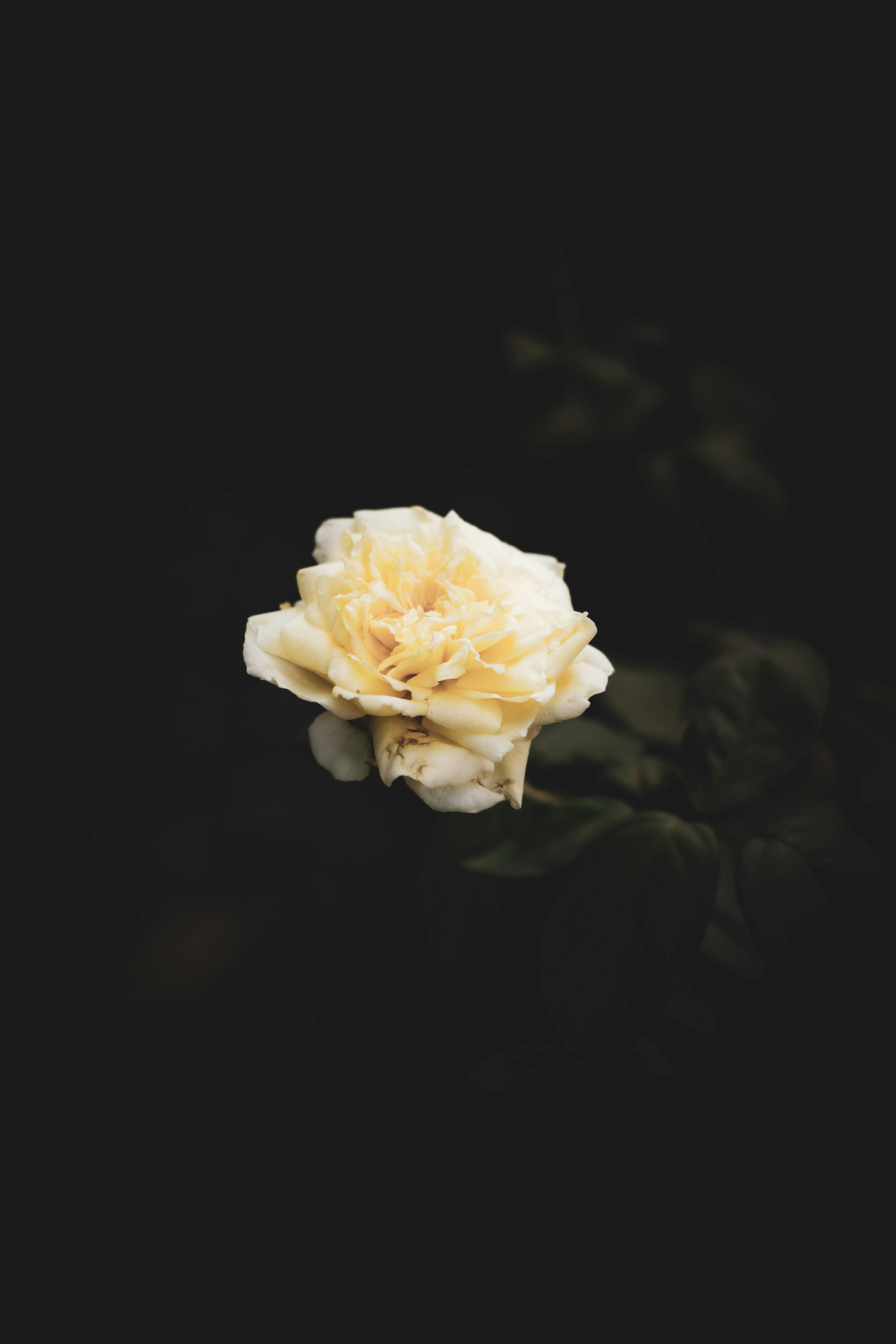 Photo by jdphotography