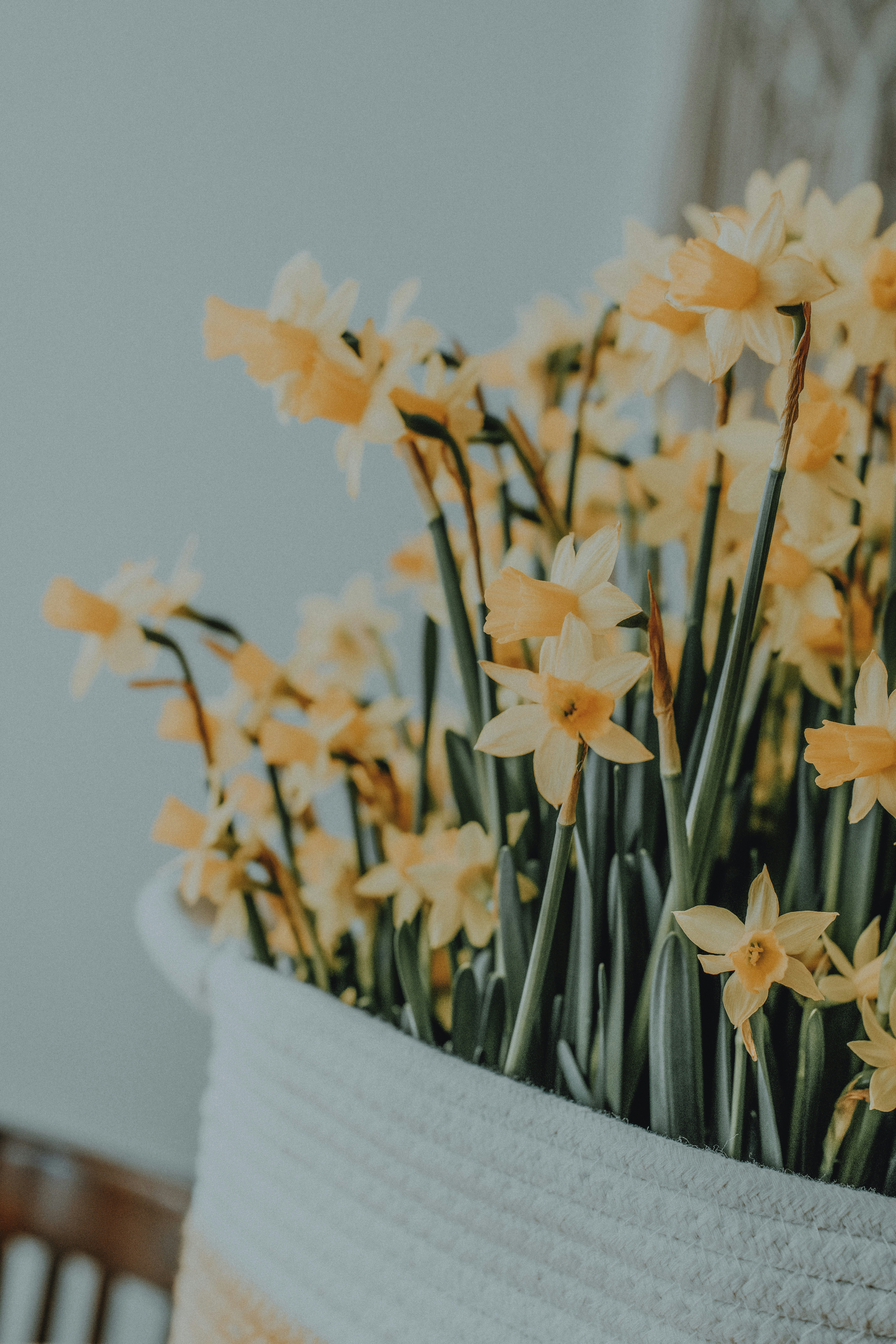 Photo by anitaaustvika