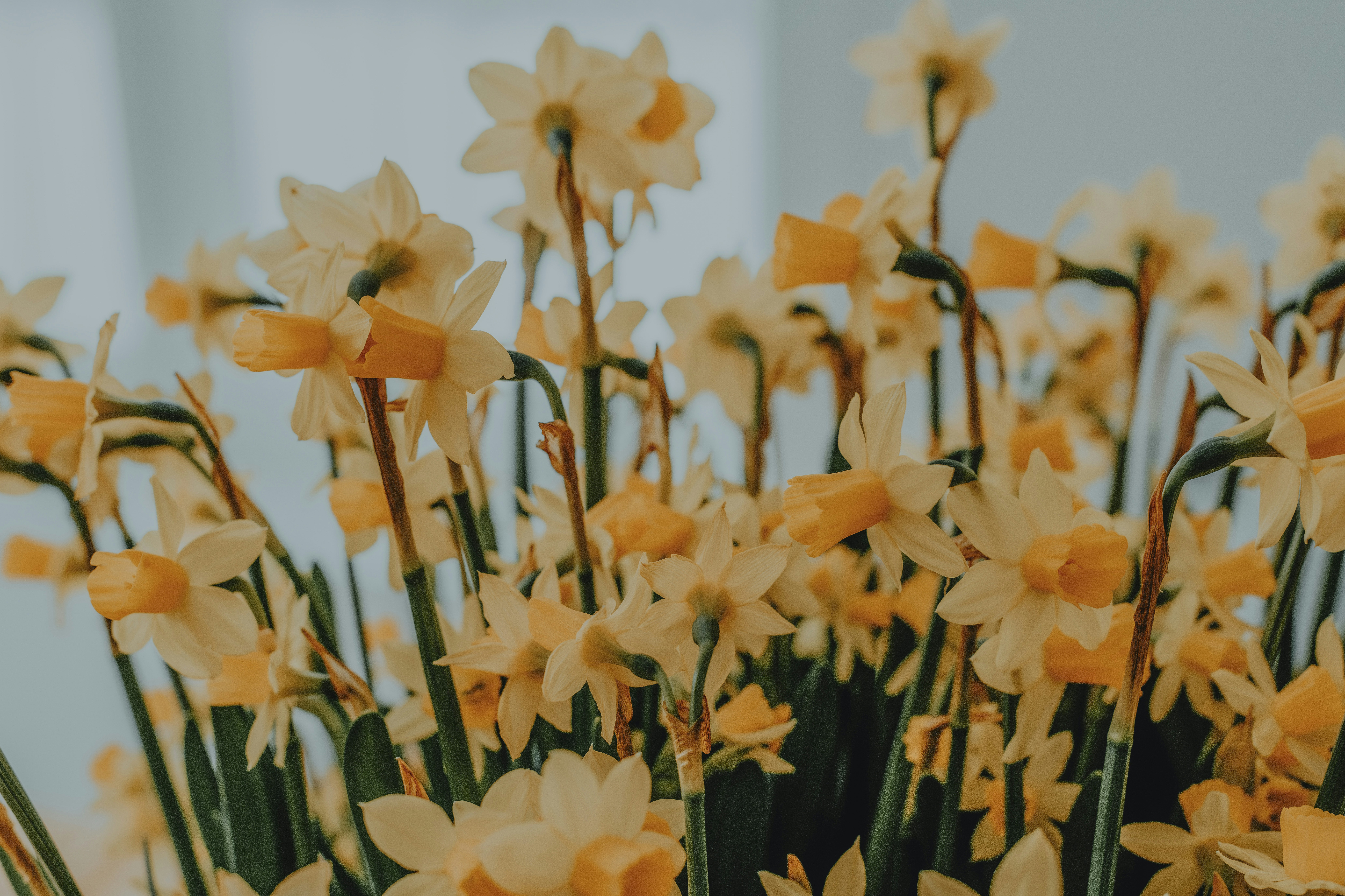 Photo by anitaaustvika