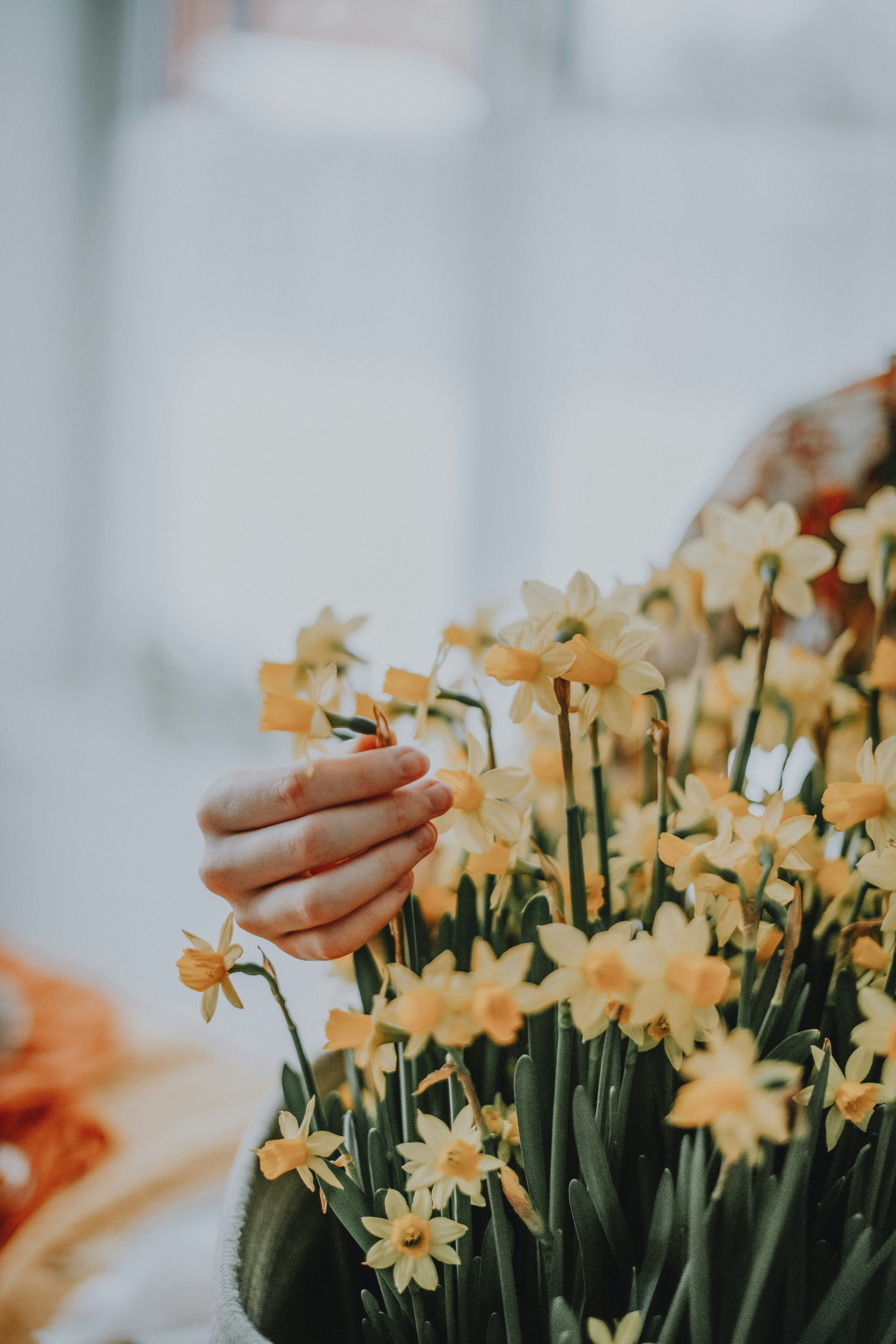 Photo by anitaaustvika