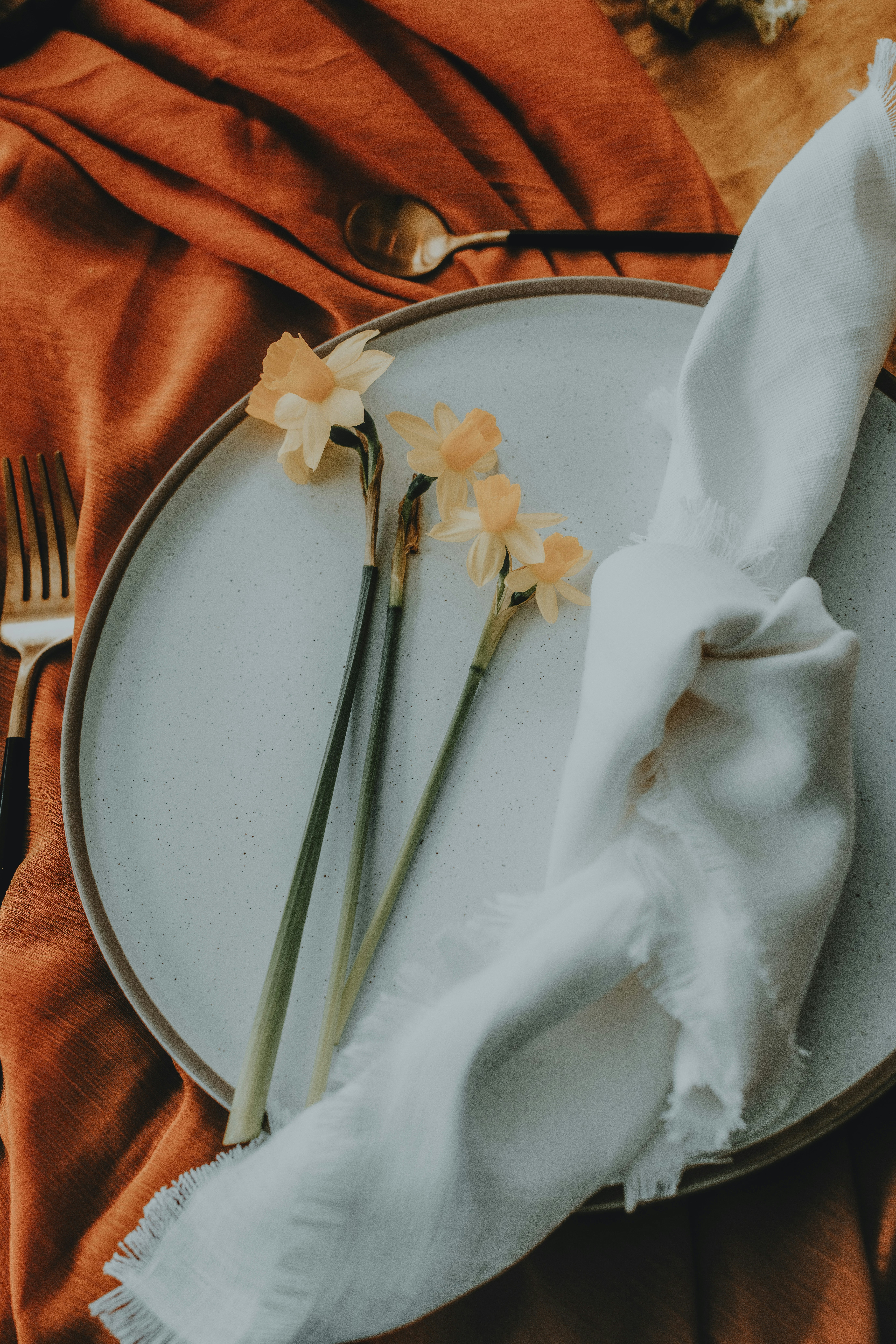 Photo by anitaaustvika