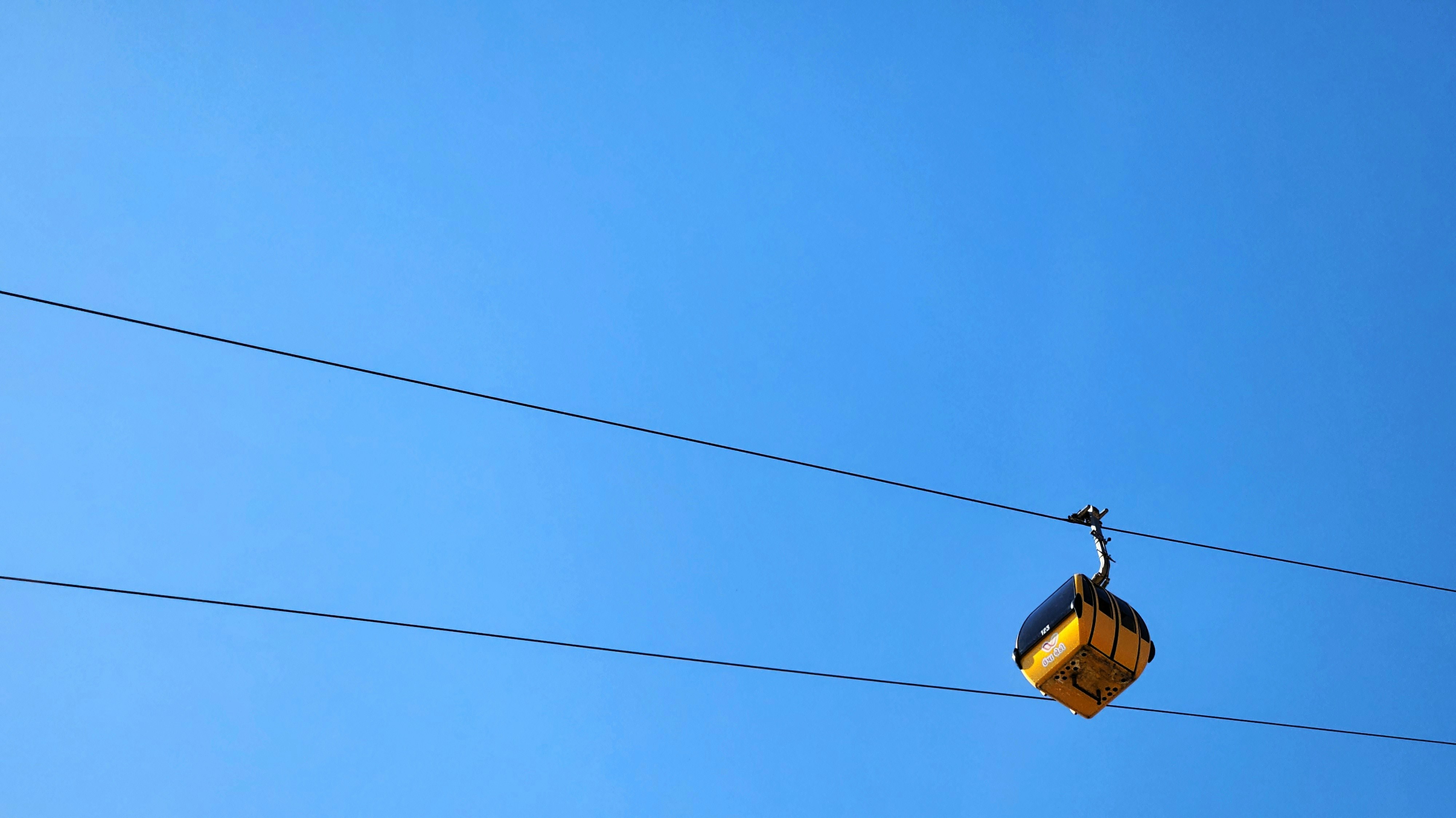 a bird sitting on a wire with a blue sky in the background