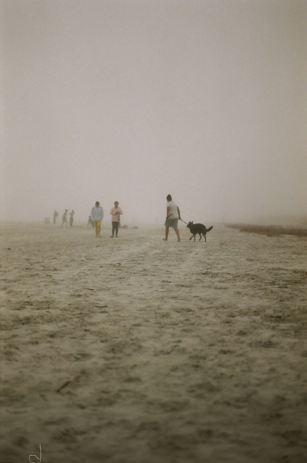 Un gruppo di persone che camminano attraverso una spiaggia sabbiosa
