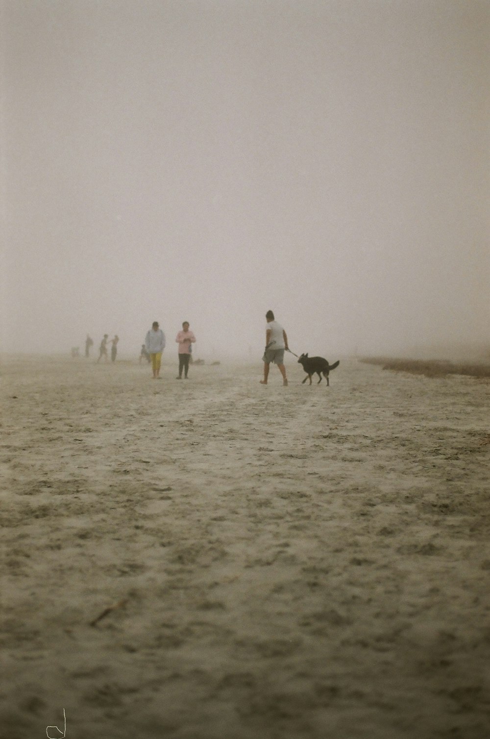 a group of people walking across a sandy beach