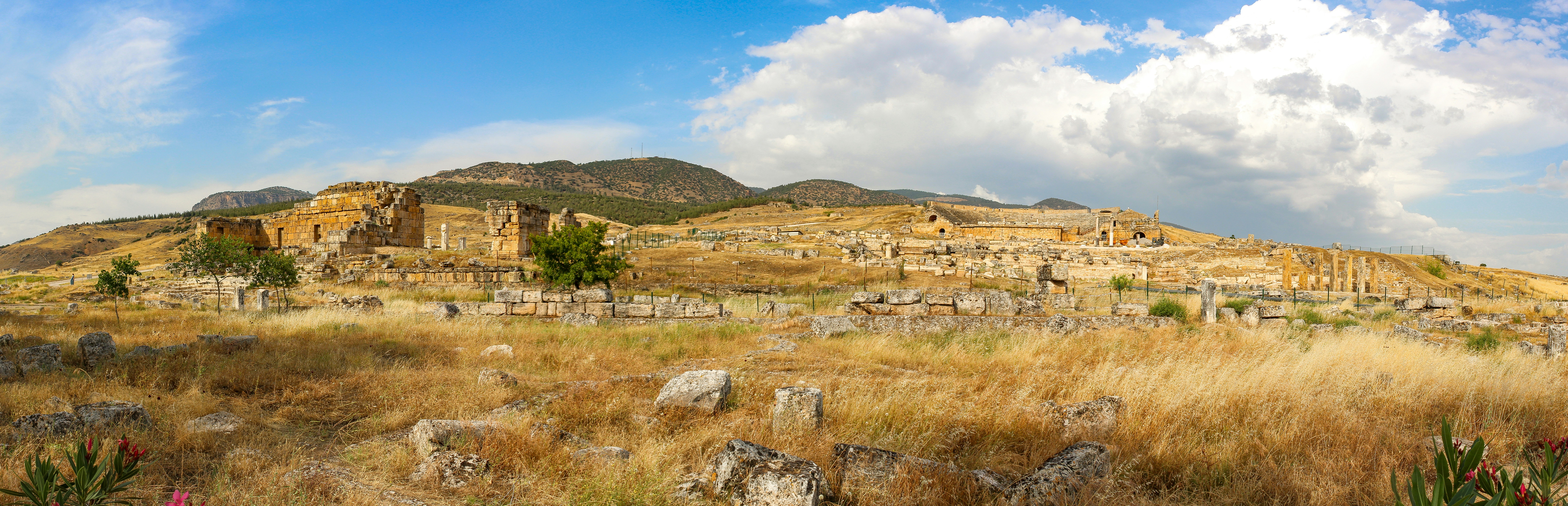 Photo by rickyrynselo