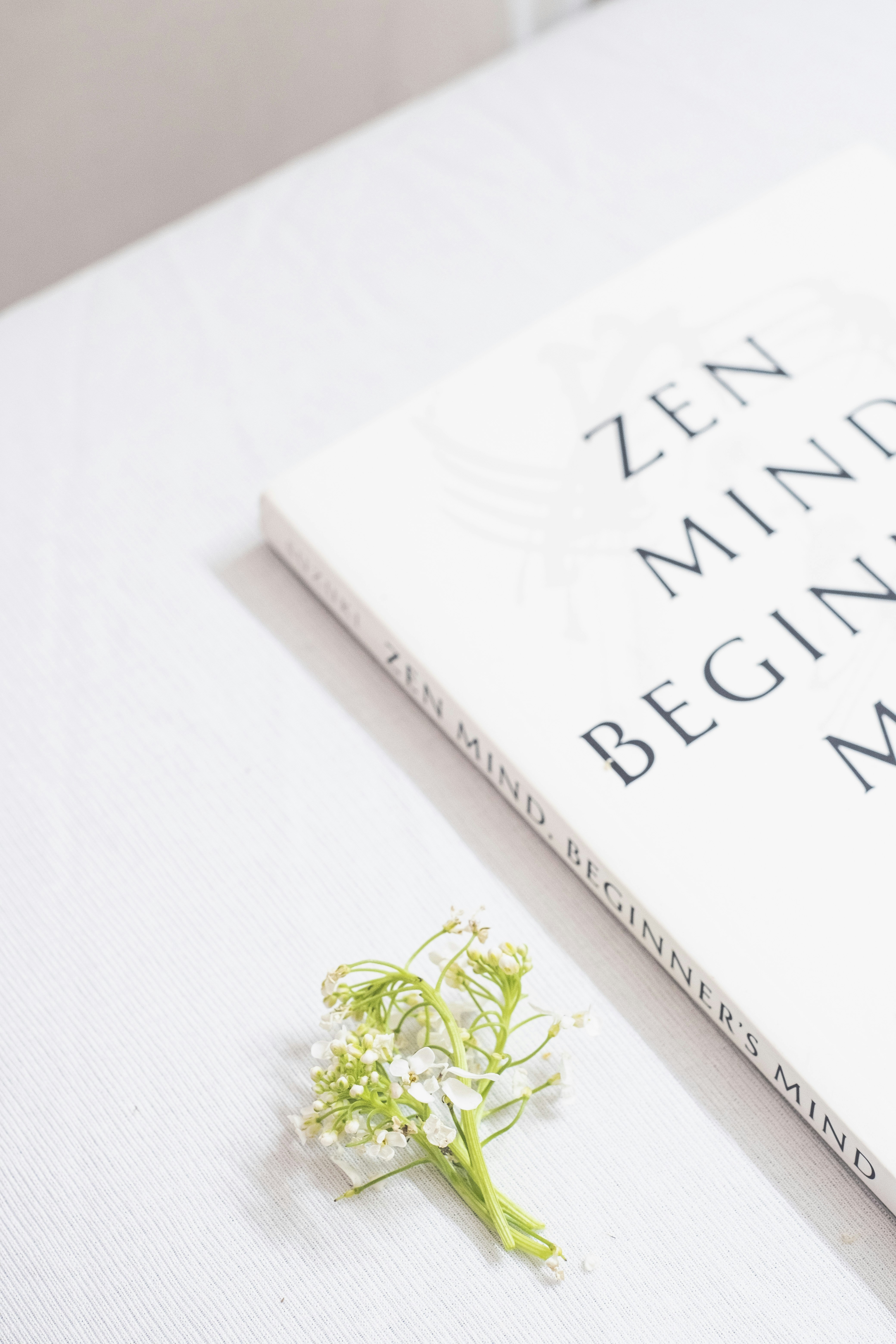 10 Mindful Writing Exercises Rooted in Minimalist Lifestyle Habits