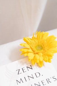 Photo 1677654072866 73a76103a5d6?q=85&w=750&h=300&fit=crop
