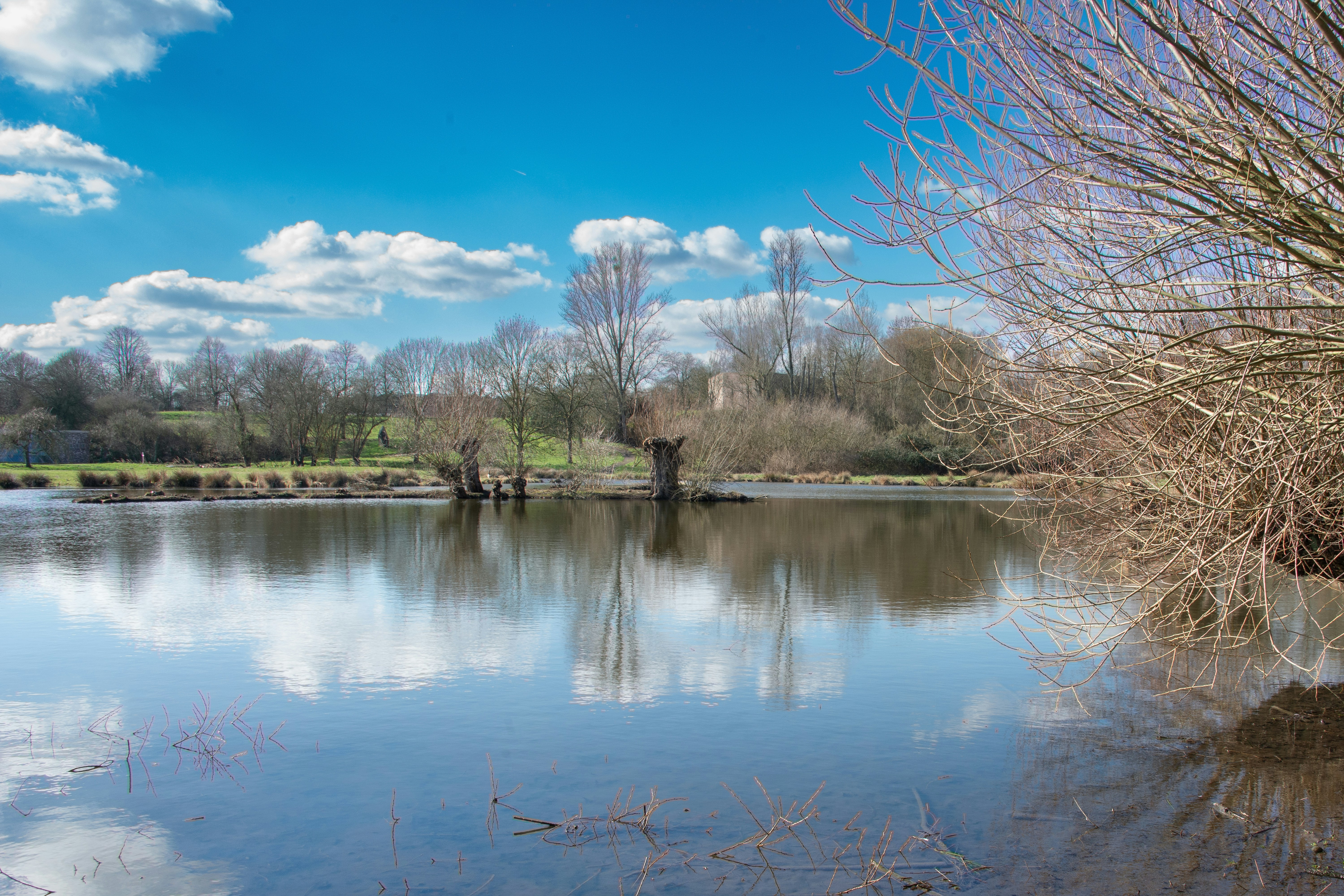 Photo by siegfriedpoepperl