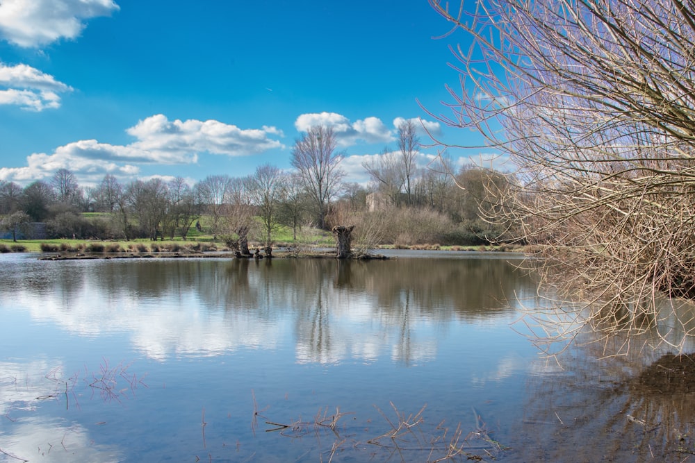 a large body of water surrounded by trees