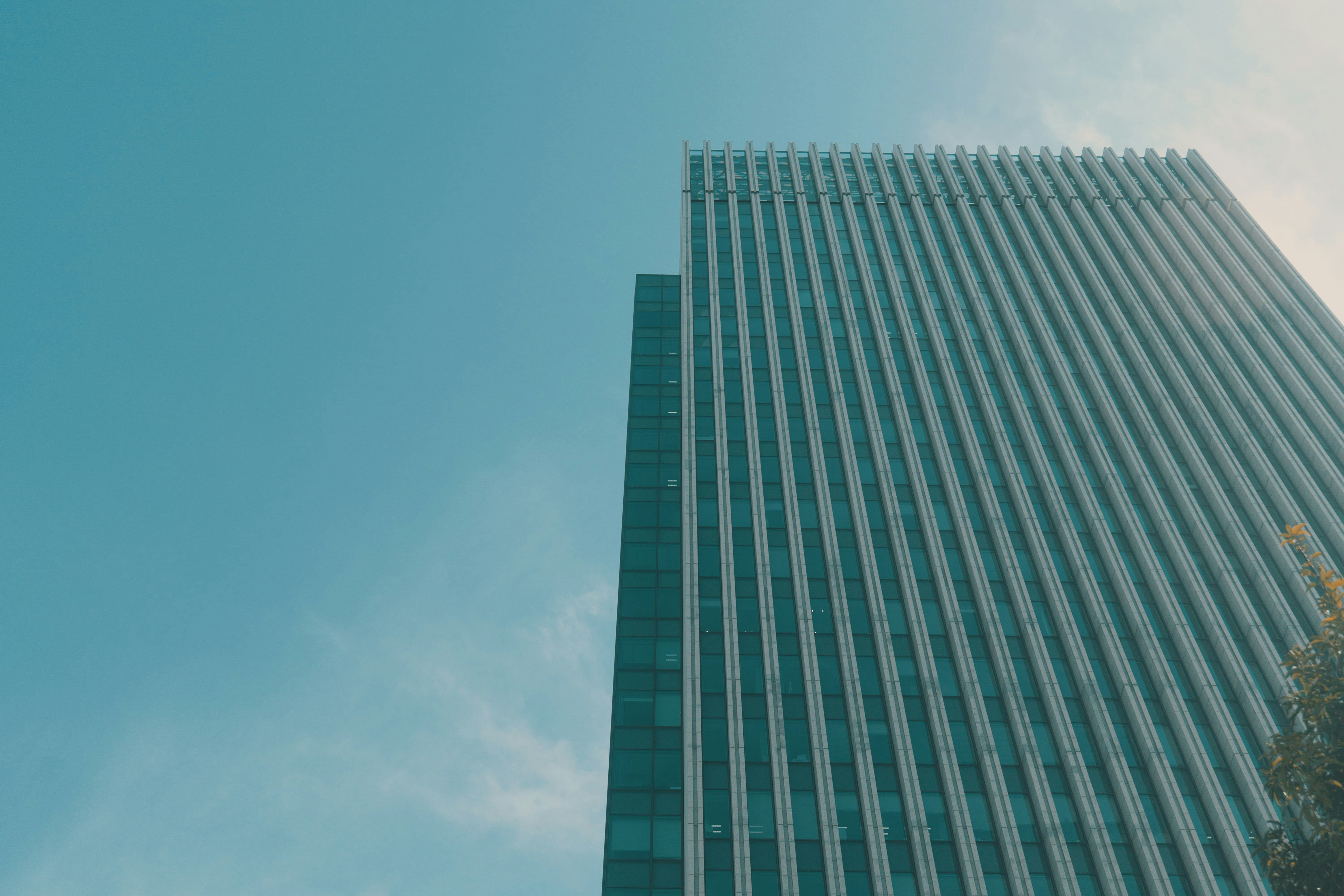 Photo by okuyama_leo