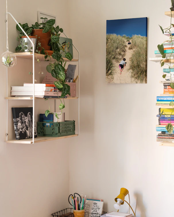 A cozy home corner with pastel-colored 3D printed plant organizers and kitchen utensils arranged neatly.