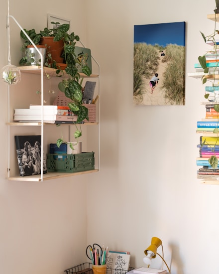 A cozy interior corner with shelves filled with potted plants, books, and assorted objects. A wall has a photo of a sandy path through grass, with people walking in the distance. The workspace has a yellow desk lamp, a basket with colored pens, and various notebooks and office supplies arranged tidily.