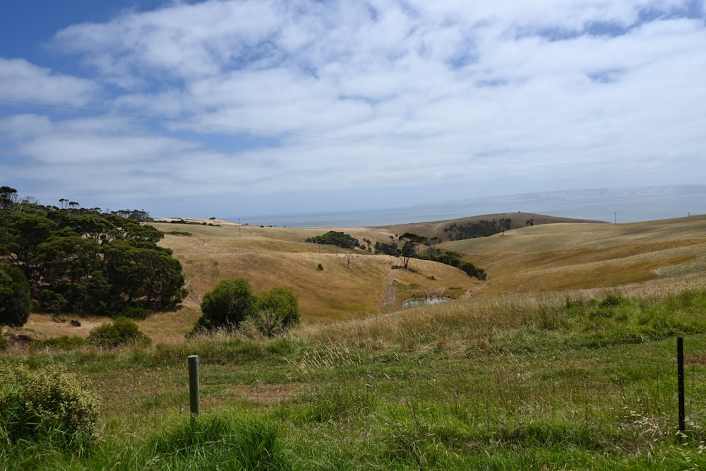 a grassy field with trees and a fence in the foreground