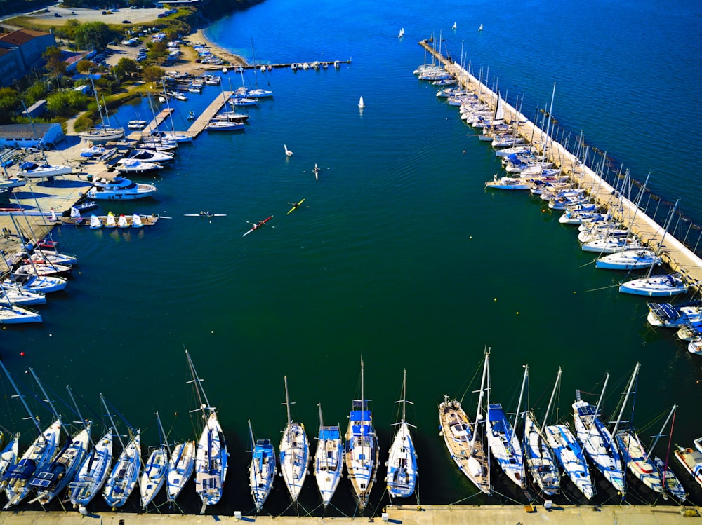a harbor filled with lots of boats next to a pier