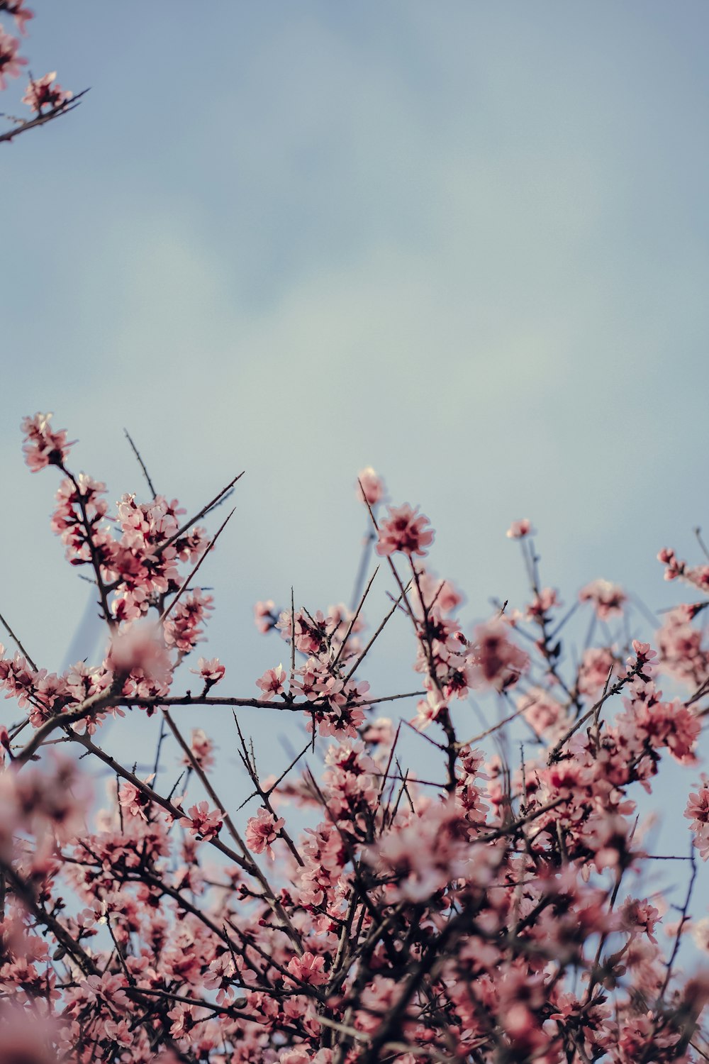 a bird is sitting on a tree branch