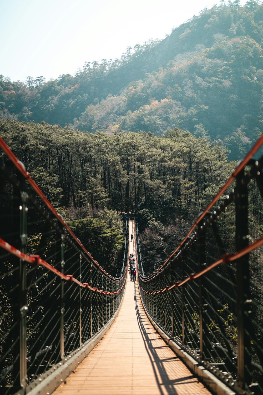 a person walking across a suspension bridge over a river