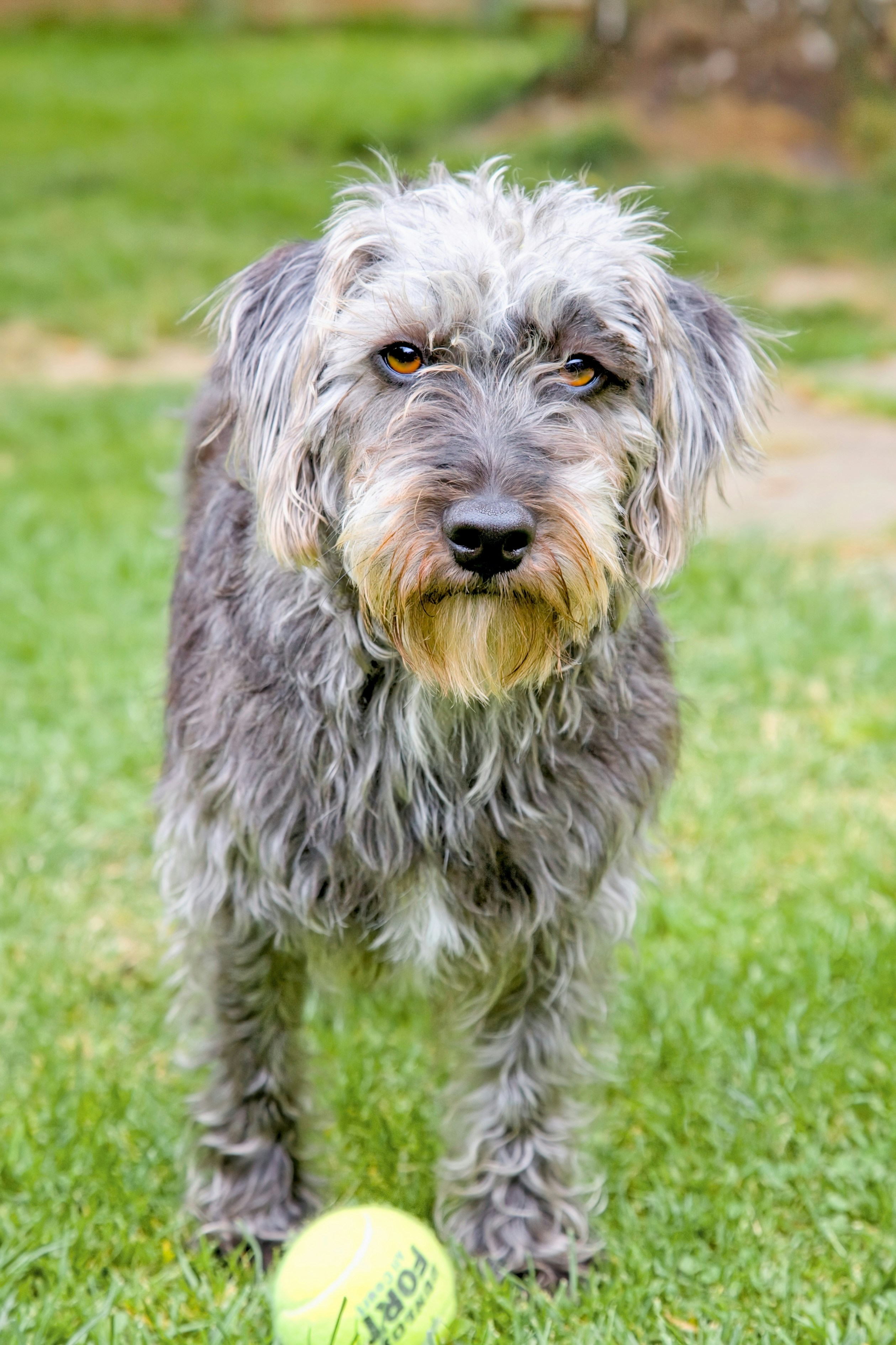 Photo by nataliekinnear