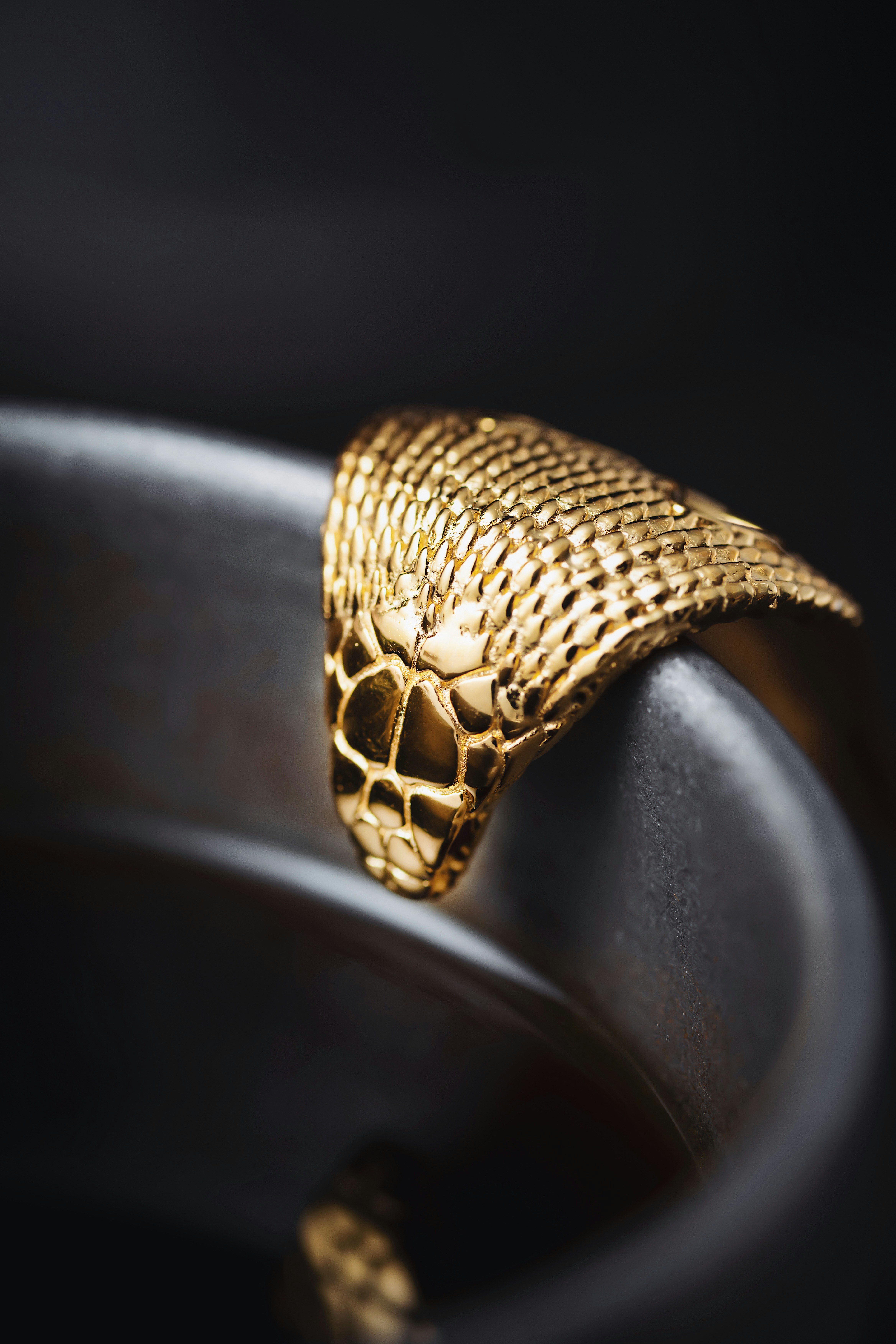 Photo by coppertistwu