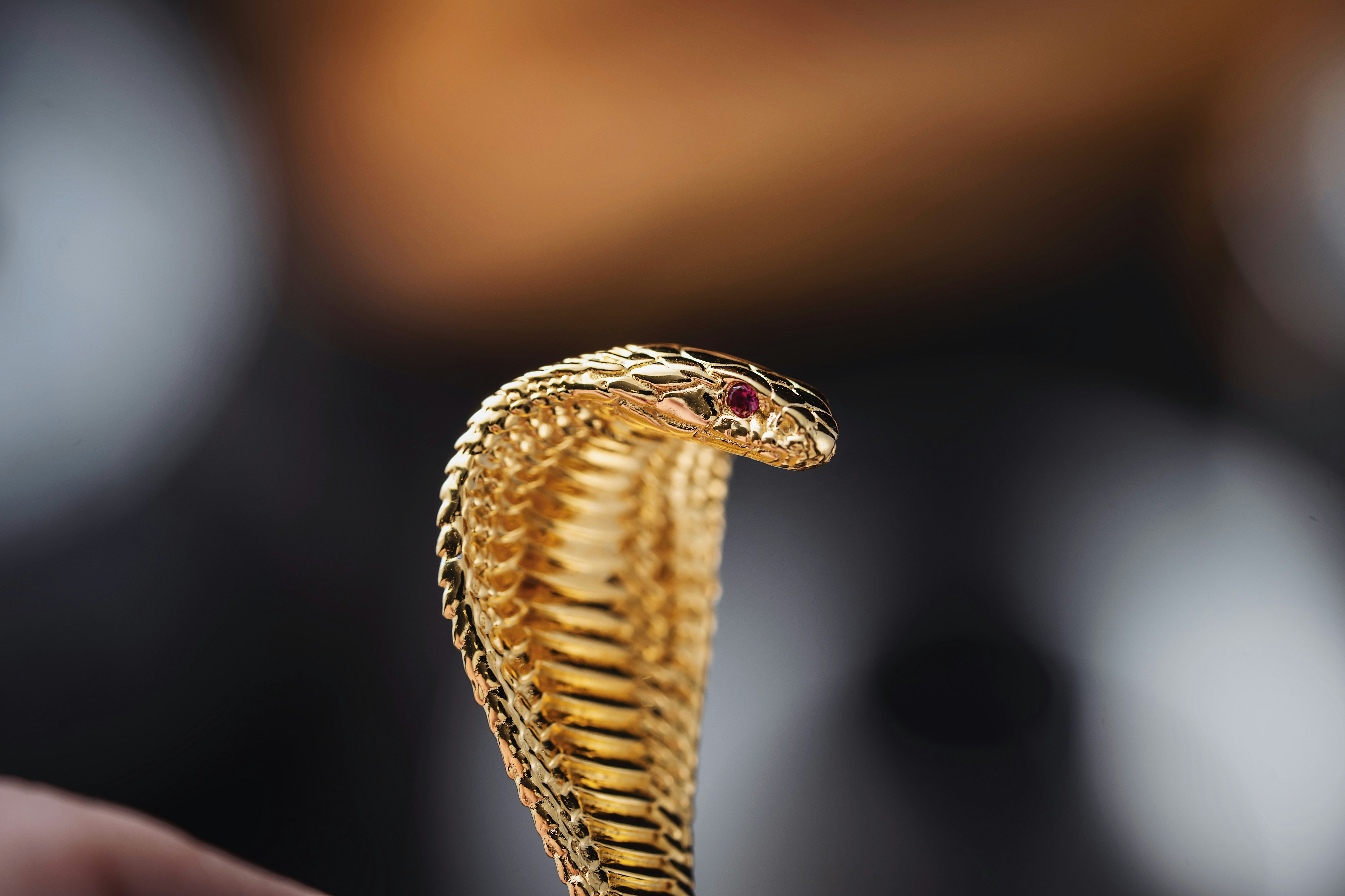 Photo by coppertistwu