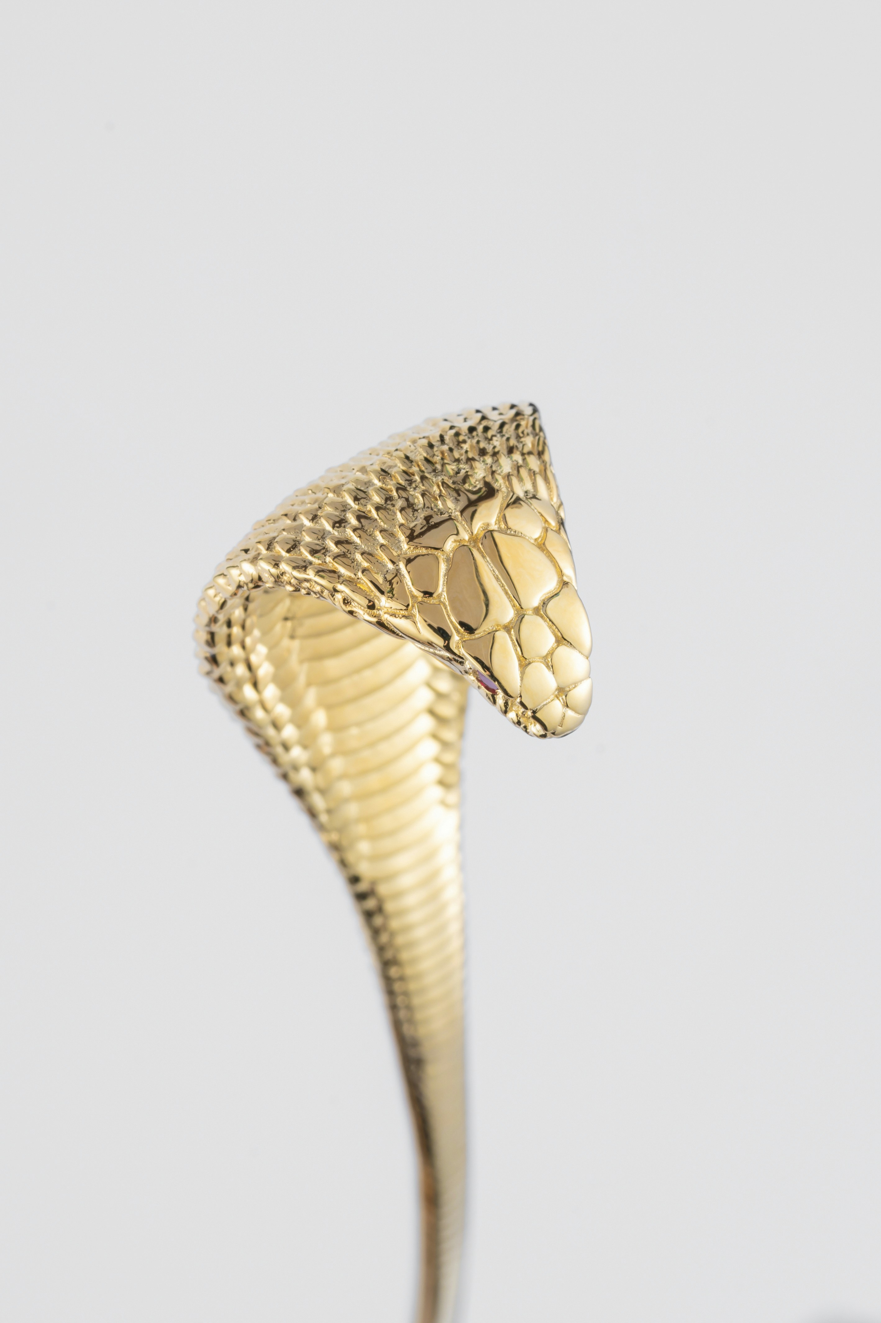 Photo by coppertistwu