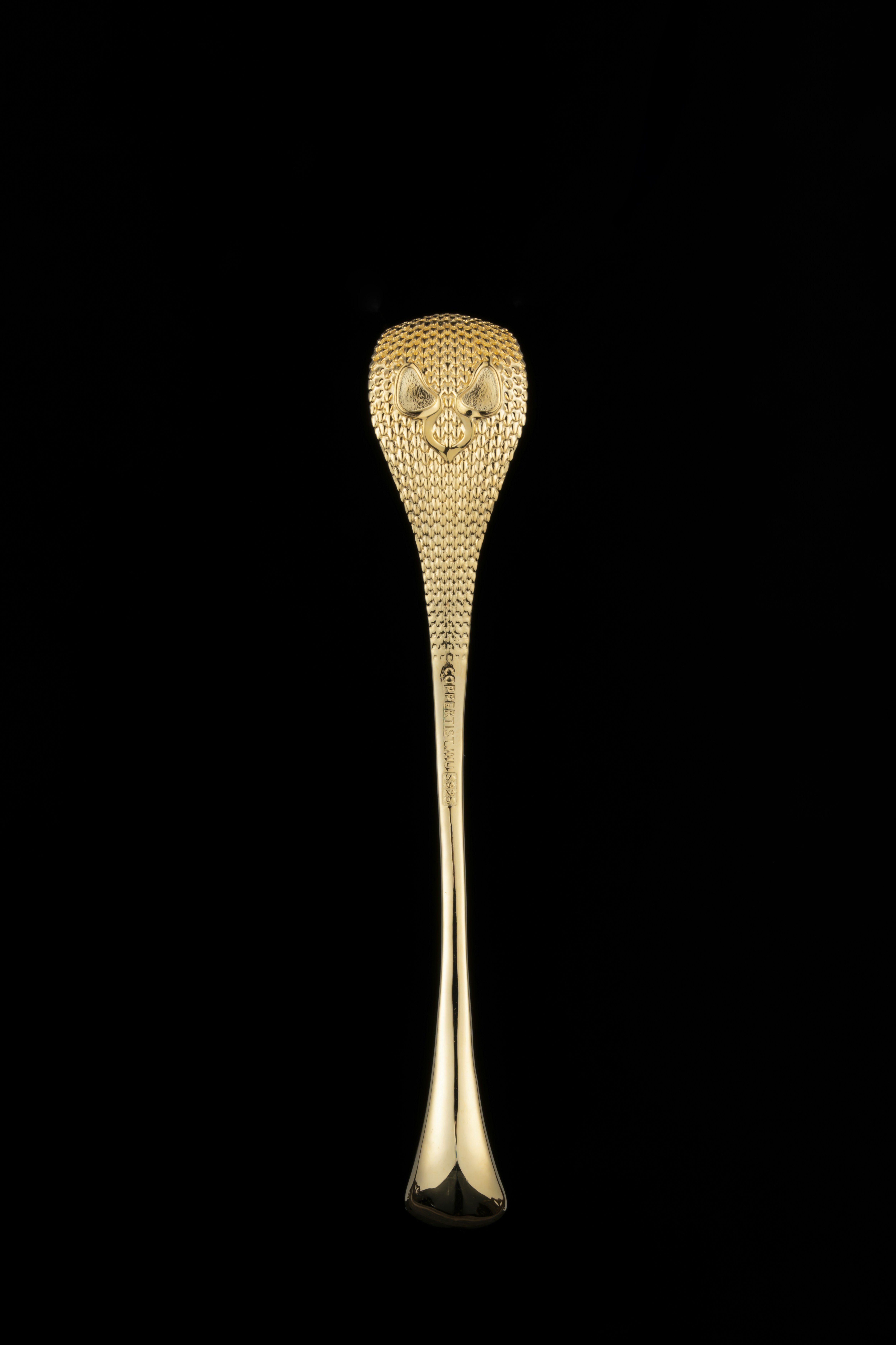 Photo by coppertistwu