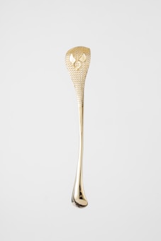 A golden spoon-like object with a decorative textured handle and an embossed design near the top set against a plain white background.