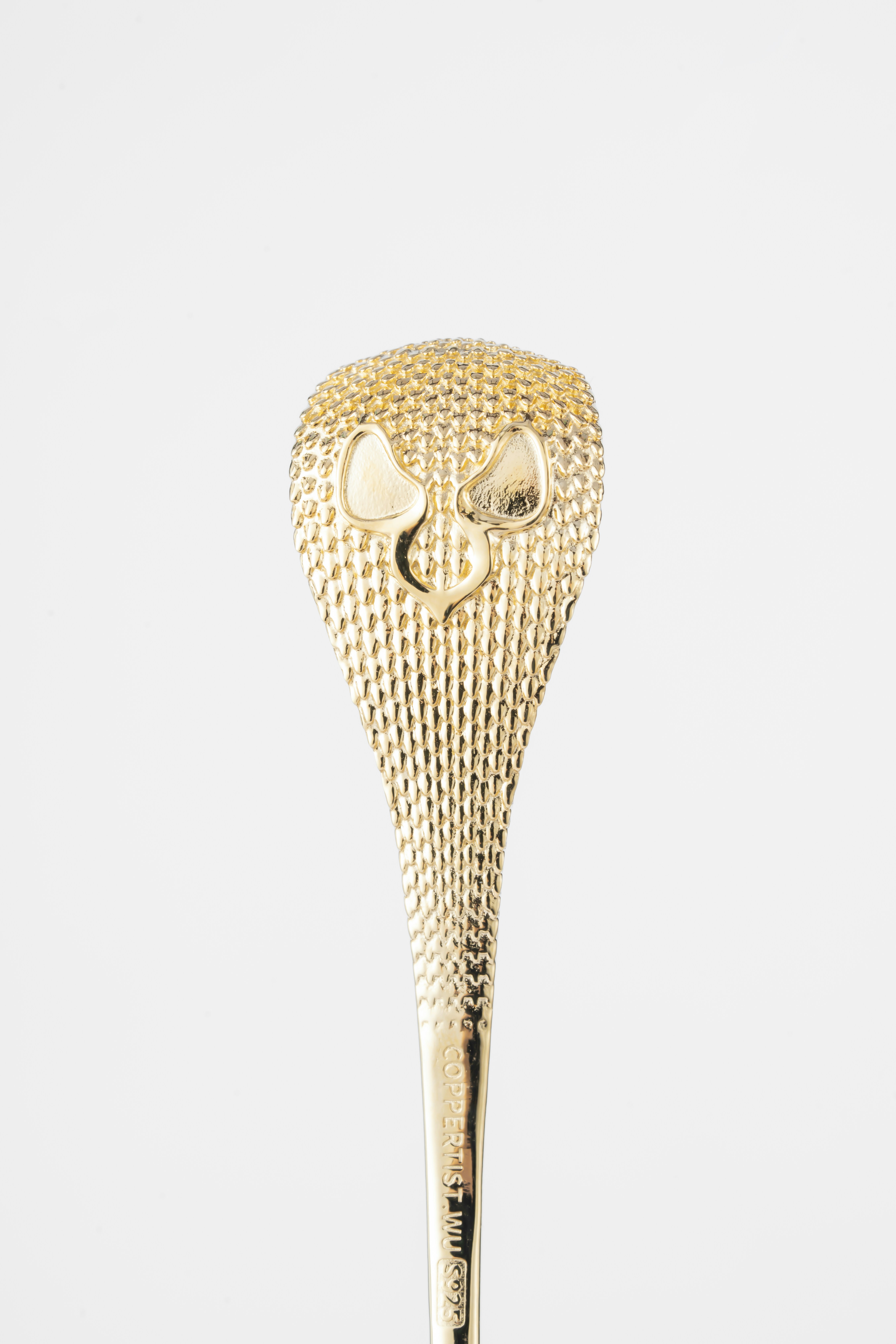 Photo by coppertistwu