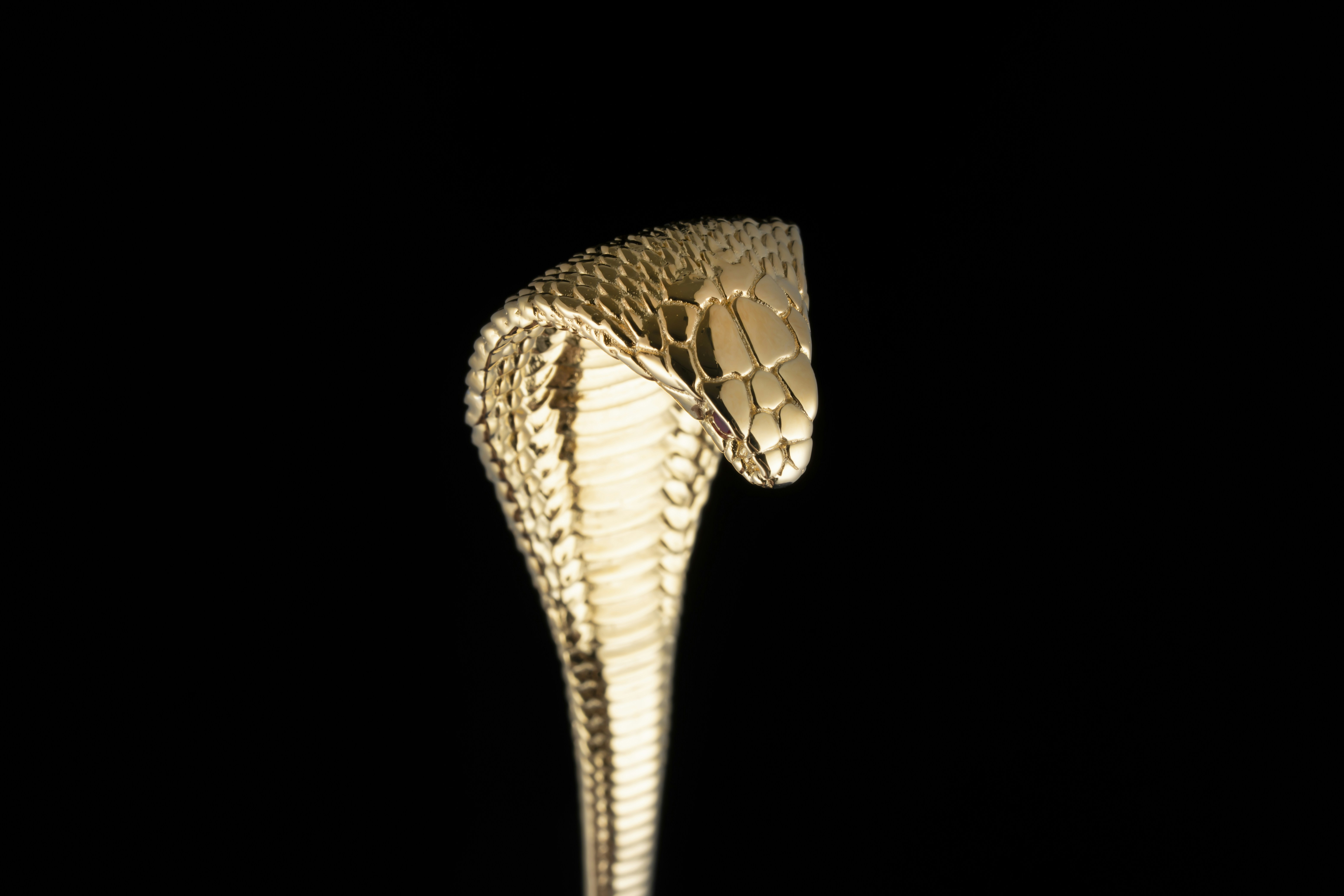 Photo by coppertistwu