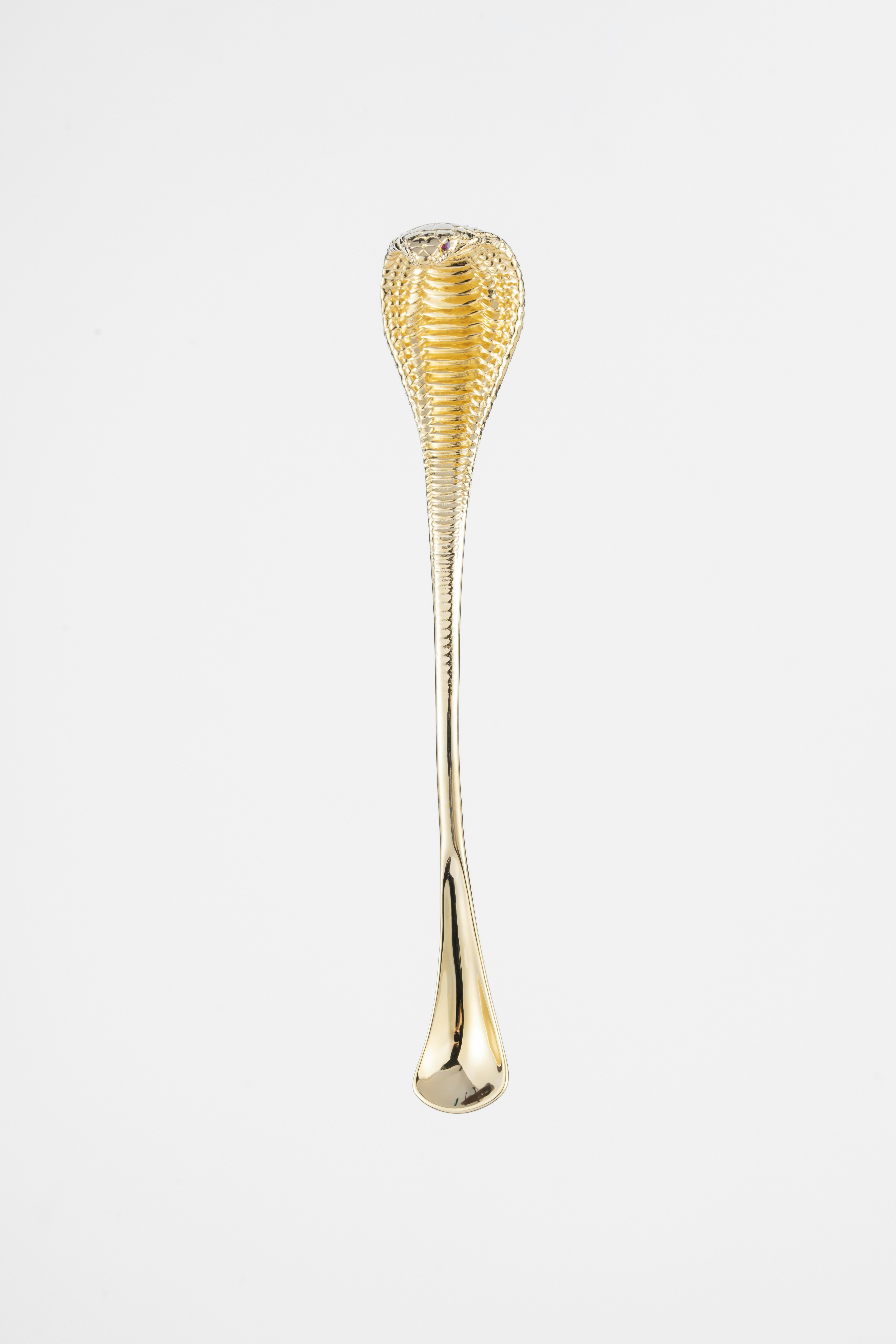 Photo by coppertistwu