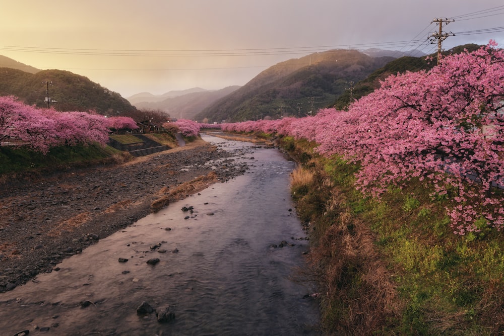 a river running through a lush green valley