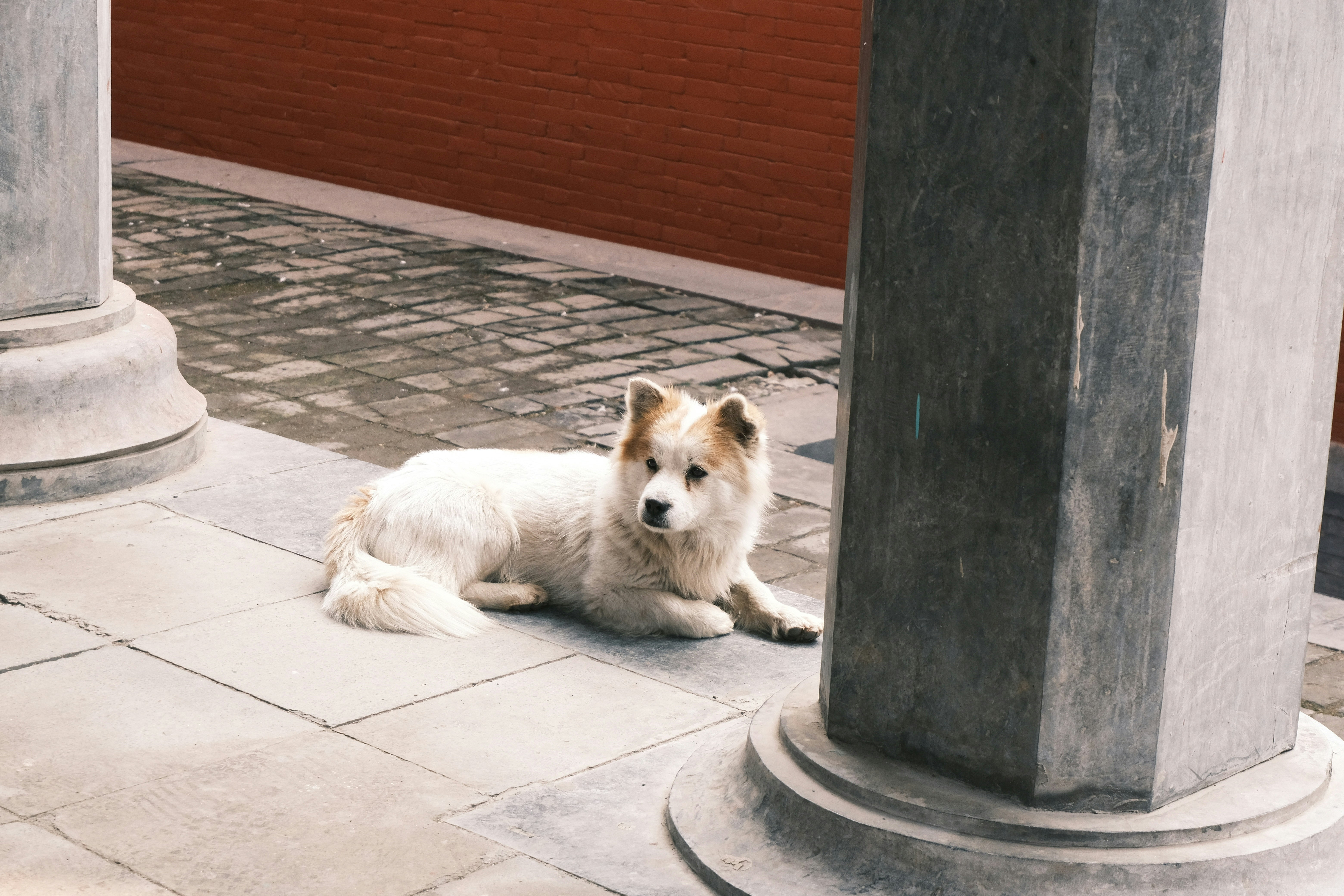 Hiccups and Other Hidden Signs of Soreness