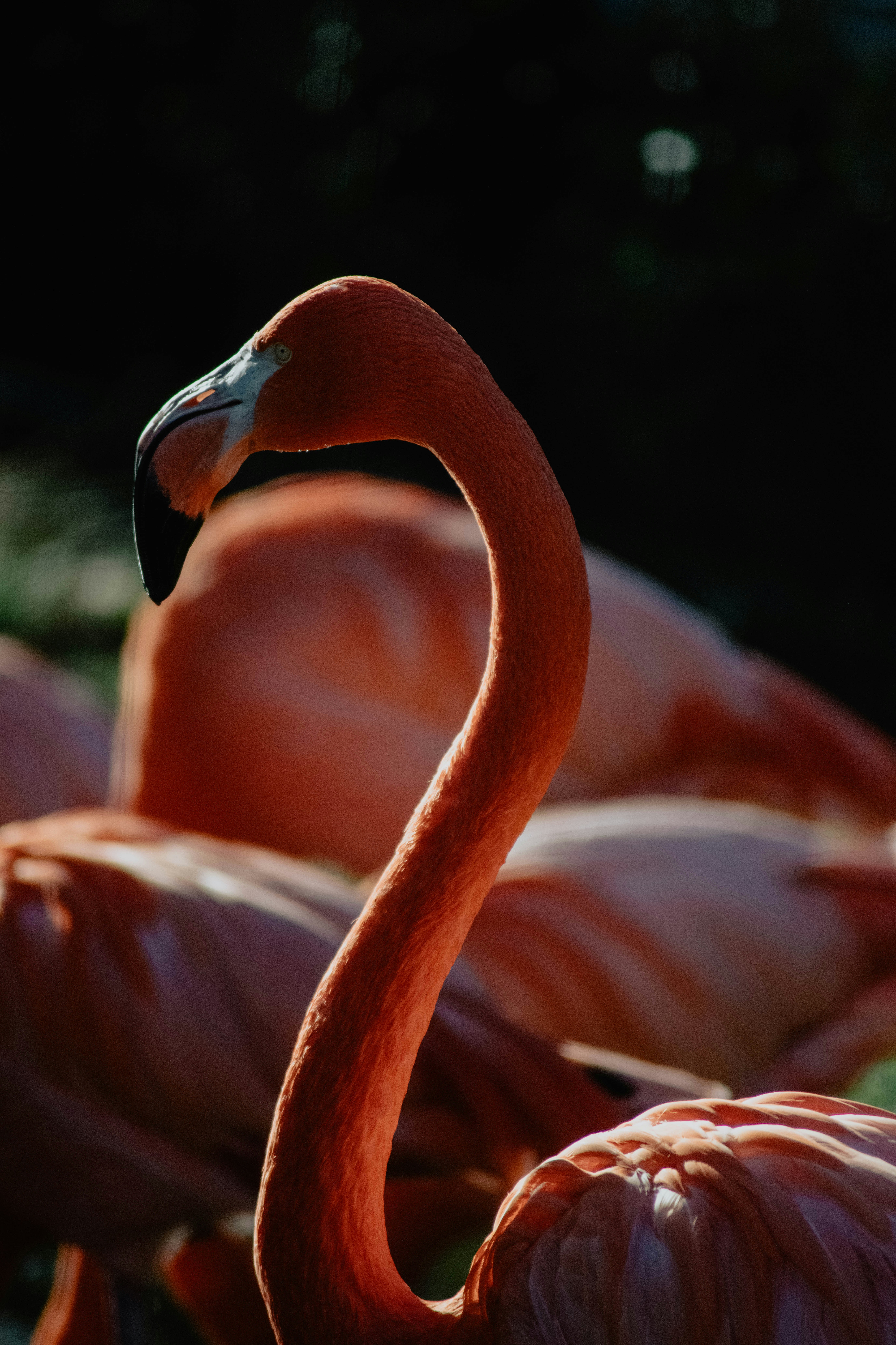 Photo by jamillatrach