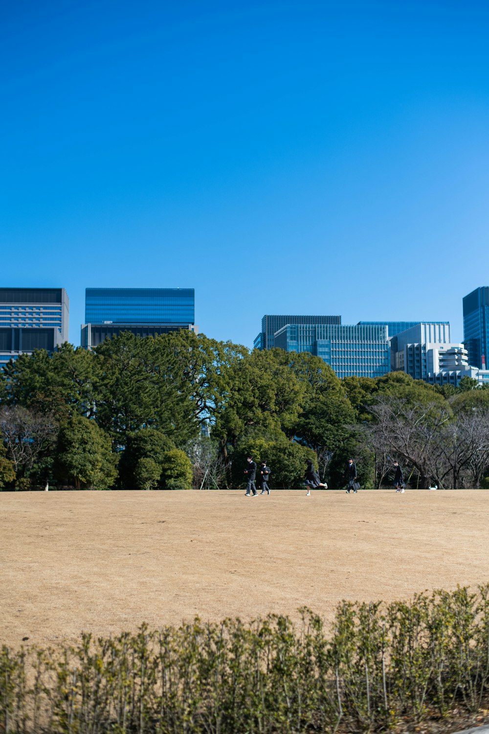 a large field with trees and buildings in the background