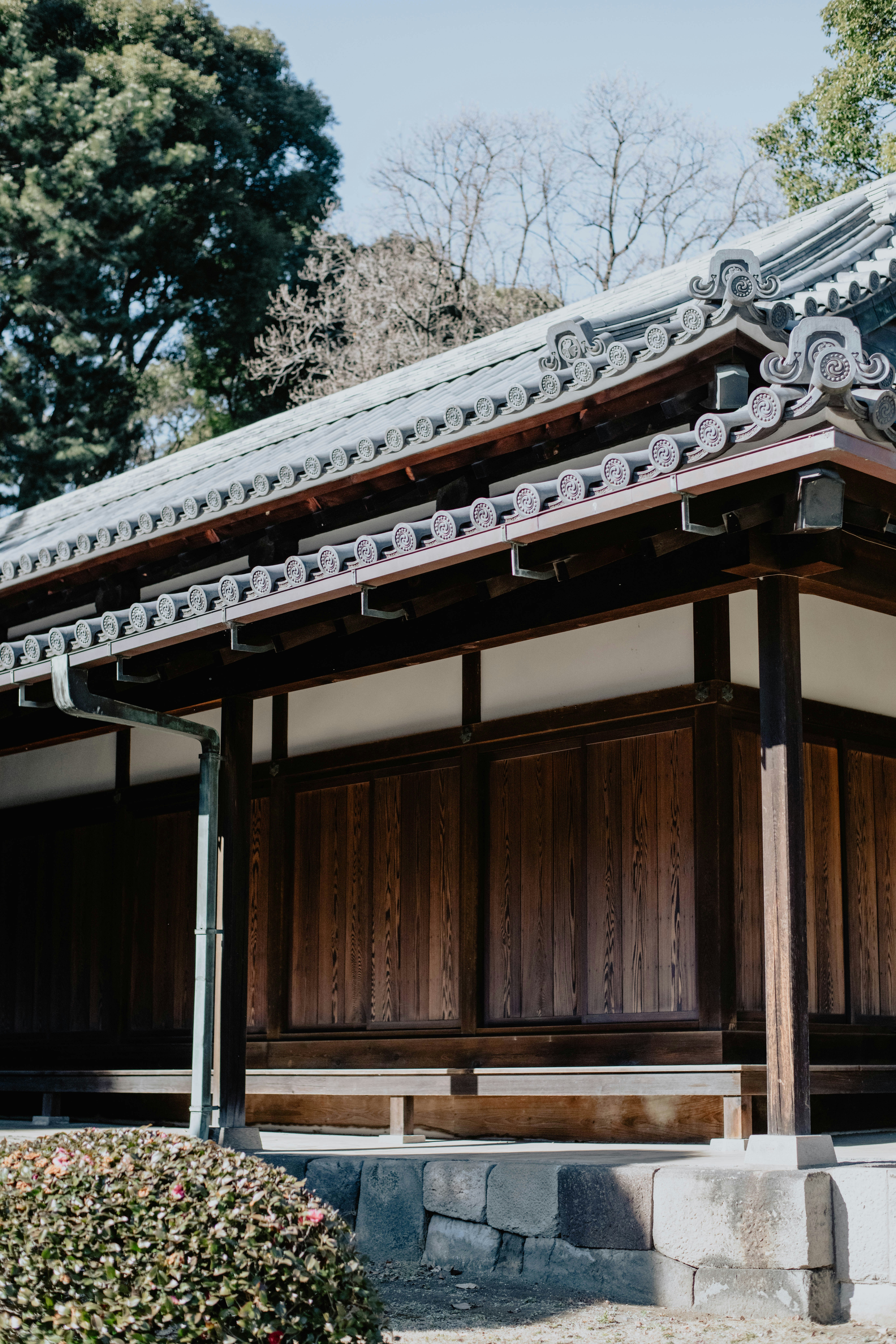 Photo by jamillatrach