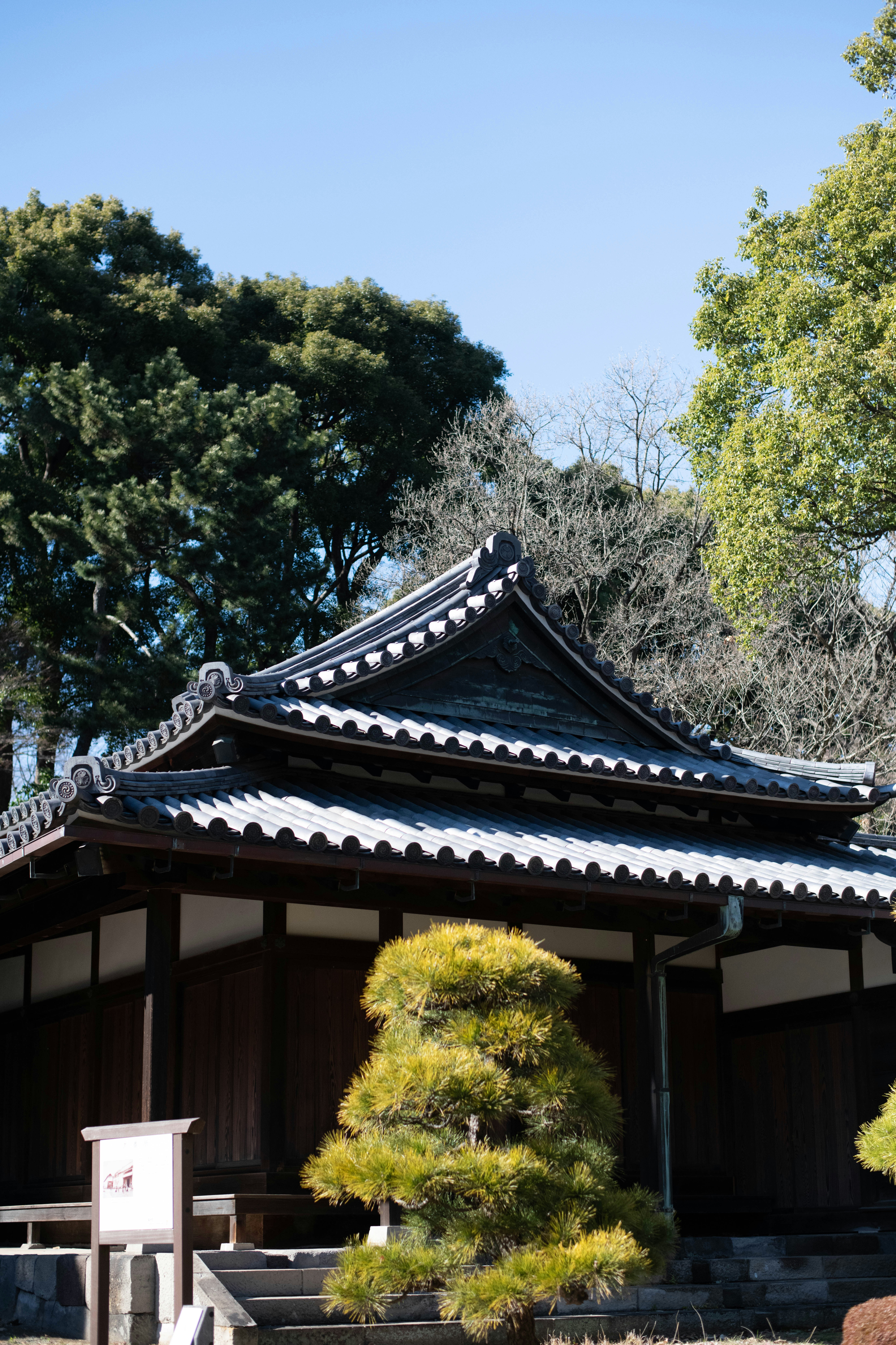 Photo by jamillatrach