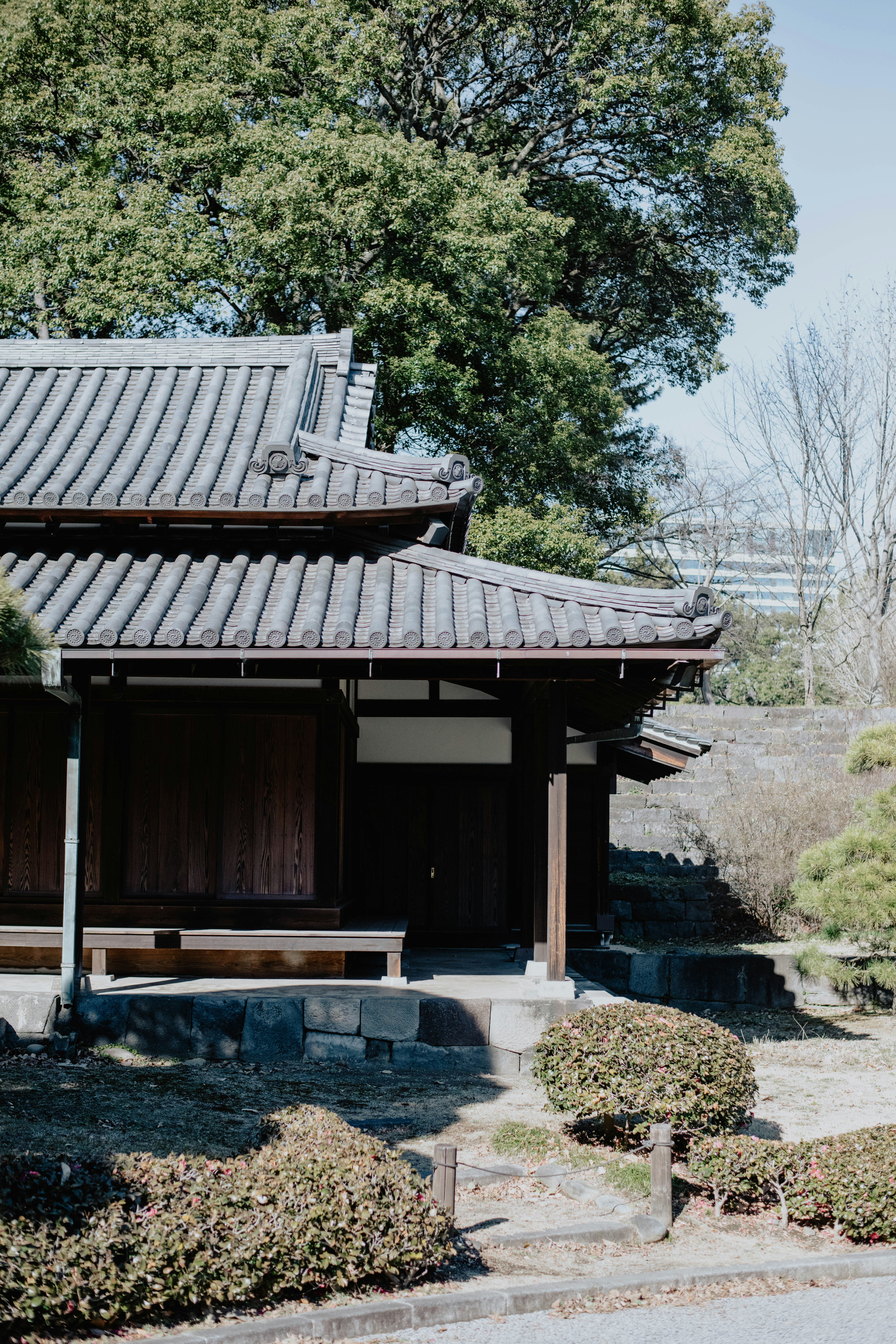 Photo by jamillatrach