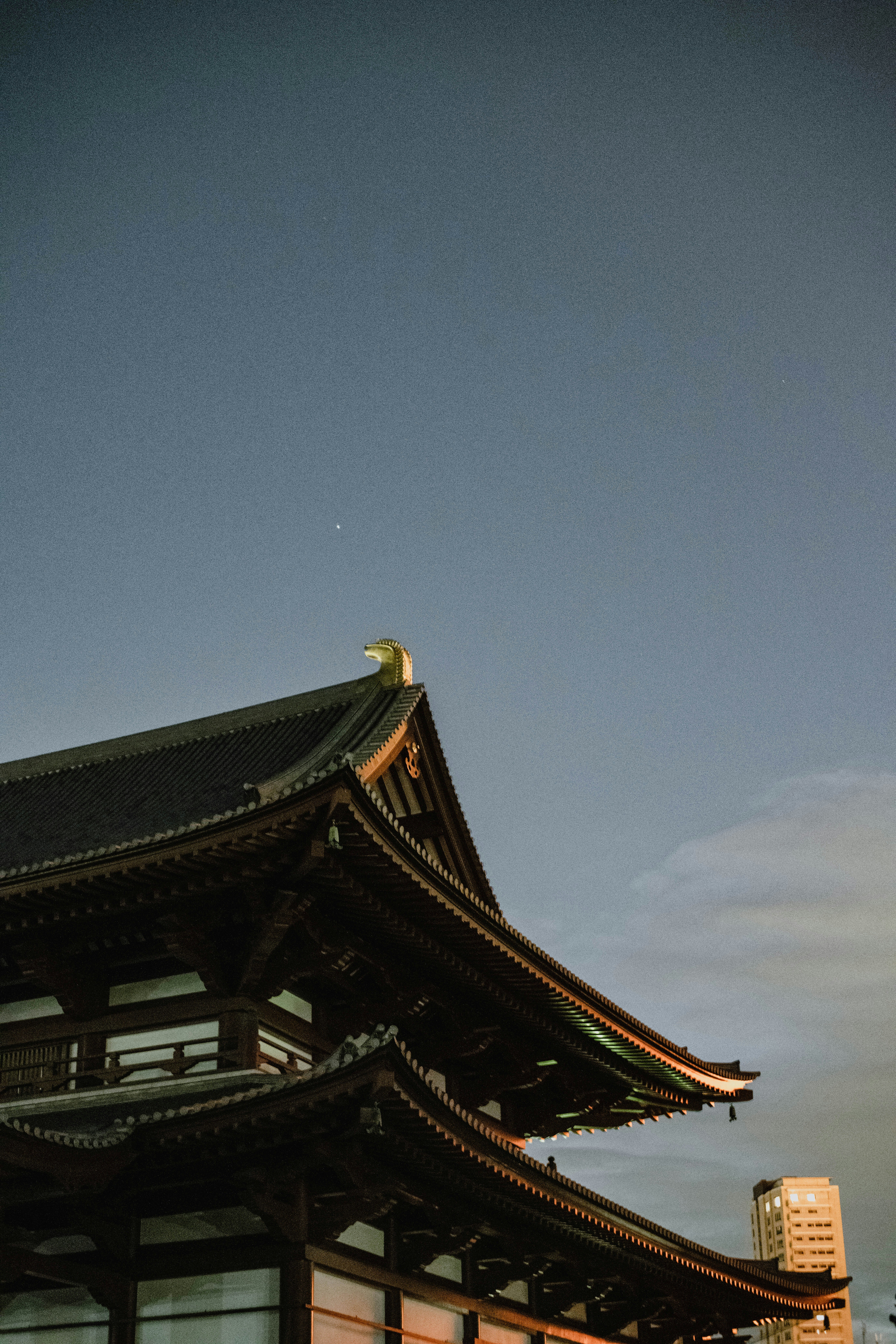 Photo by jamillatrach