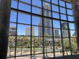 Commercial carpet gleaming after cleaning in a trendy downtown LA office with palm tree skyline visible through windows.