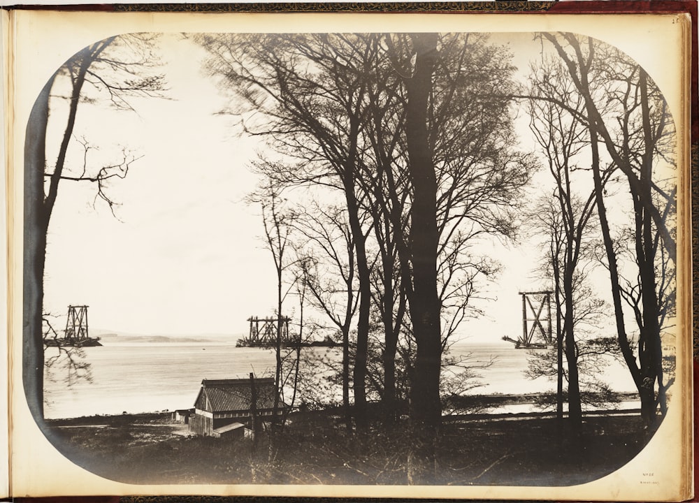 a black and white photo of trees and a house