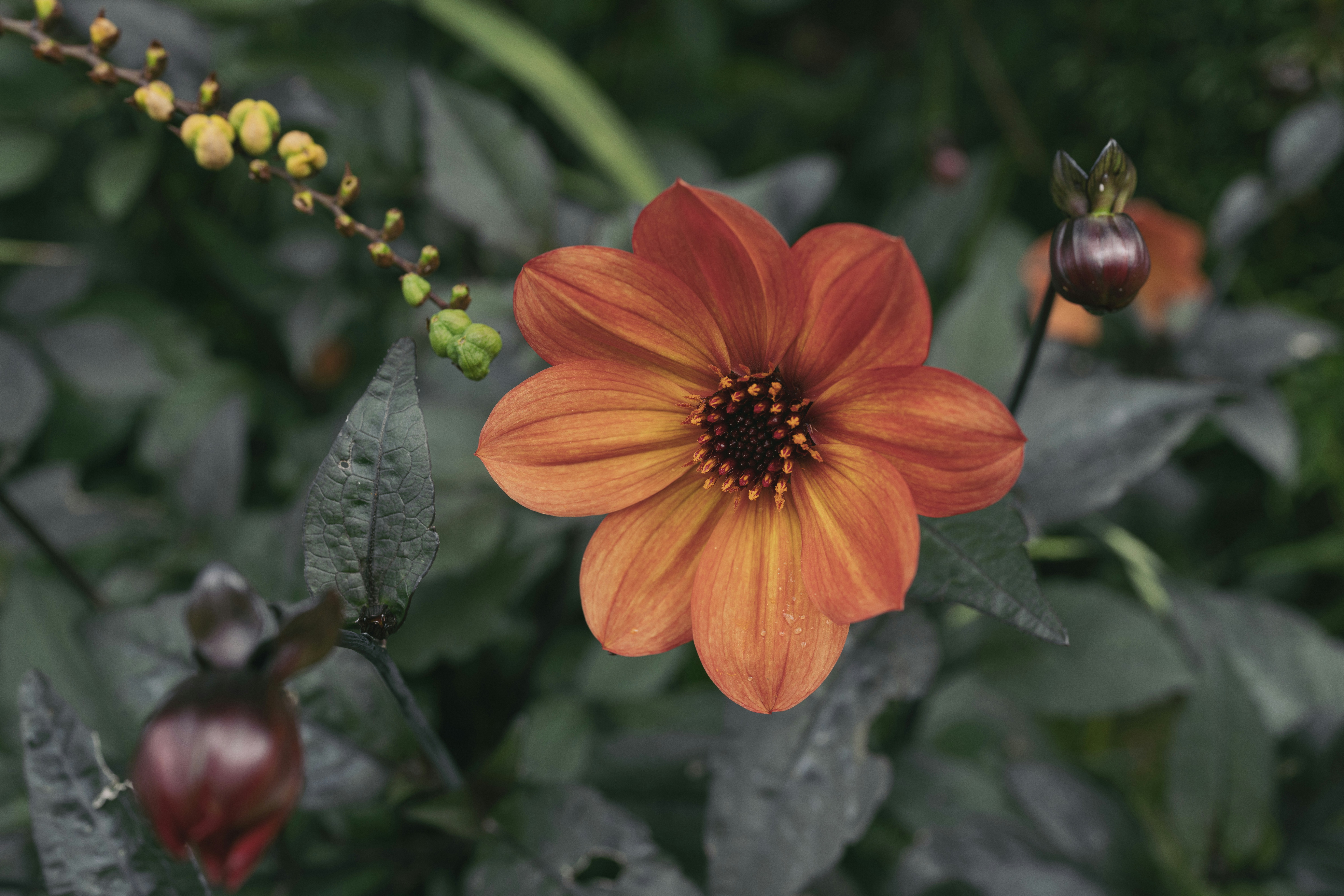 Photo by wanderingphotogolfer