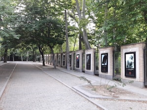A tree-lined pathway with a brick wall on one side features framed images or posters. The path is paved with light-colored bricks, and trees provide ample shade, creating a tranquil, park-like atmosphere.