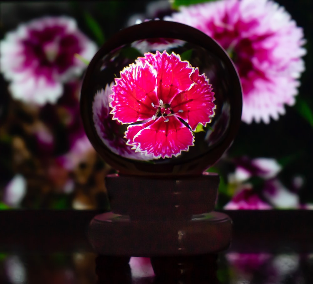 a glass ball with a flower inside of it