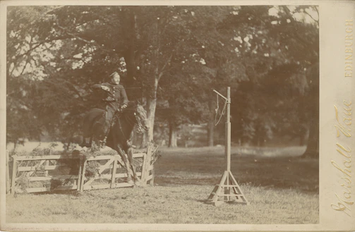 A poised hunter jumper mid-air over a polished wooden fence under soft natural light.