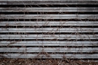 Several gray, horizontal concrete slabs stacked against one another with dried, tangled vines weaving through the spaces. The texture of the concrete is rough, while the vines are thin and brittle-looking. The bottom of the image includes some dried leaves and ground debris.