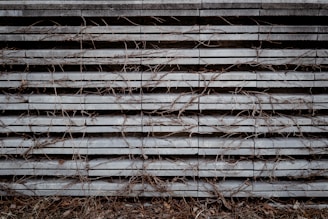 Several gray, horizontal concrete slabs stacked against one another with dried, tangled vines weaving through the spaces. The texture of the concrete is rough, while the vines are thin and brittle-looking. The bottom of the image includes some dried leaves and ground debris.