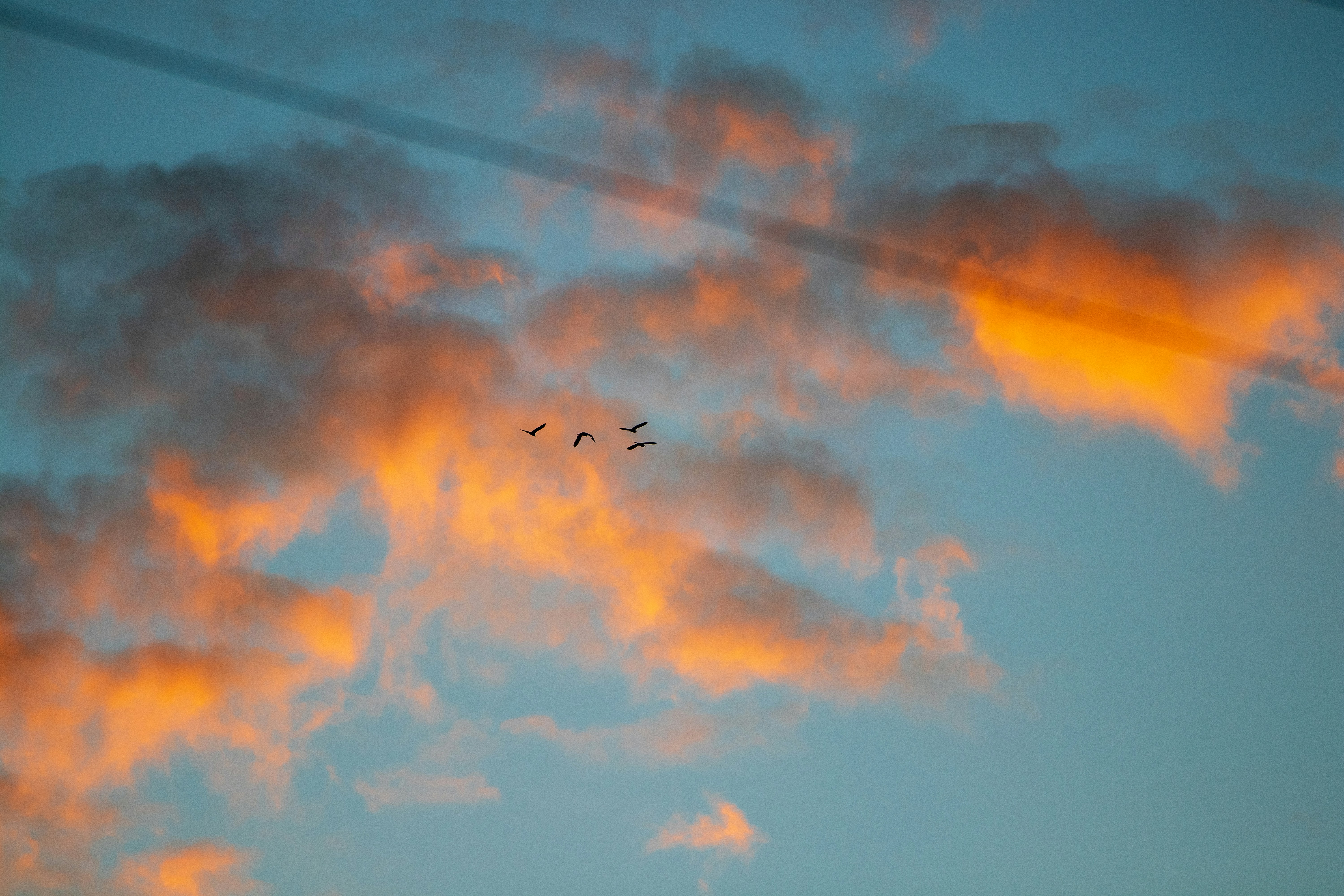 Photo by alexcaceres