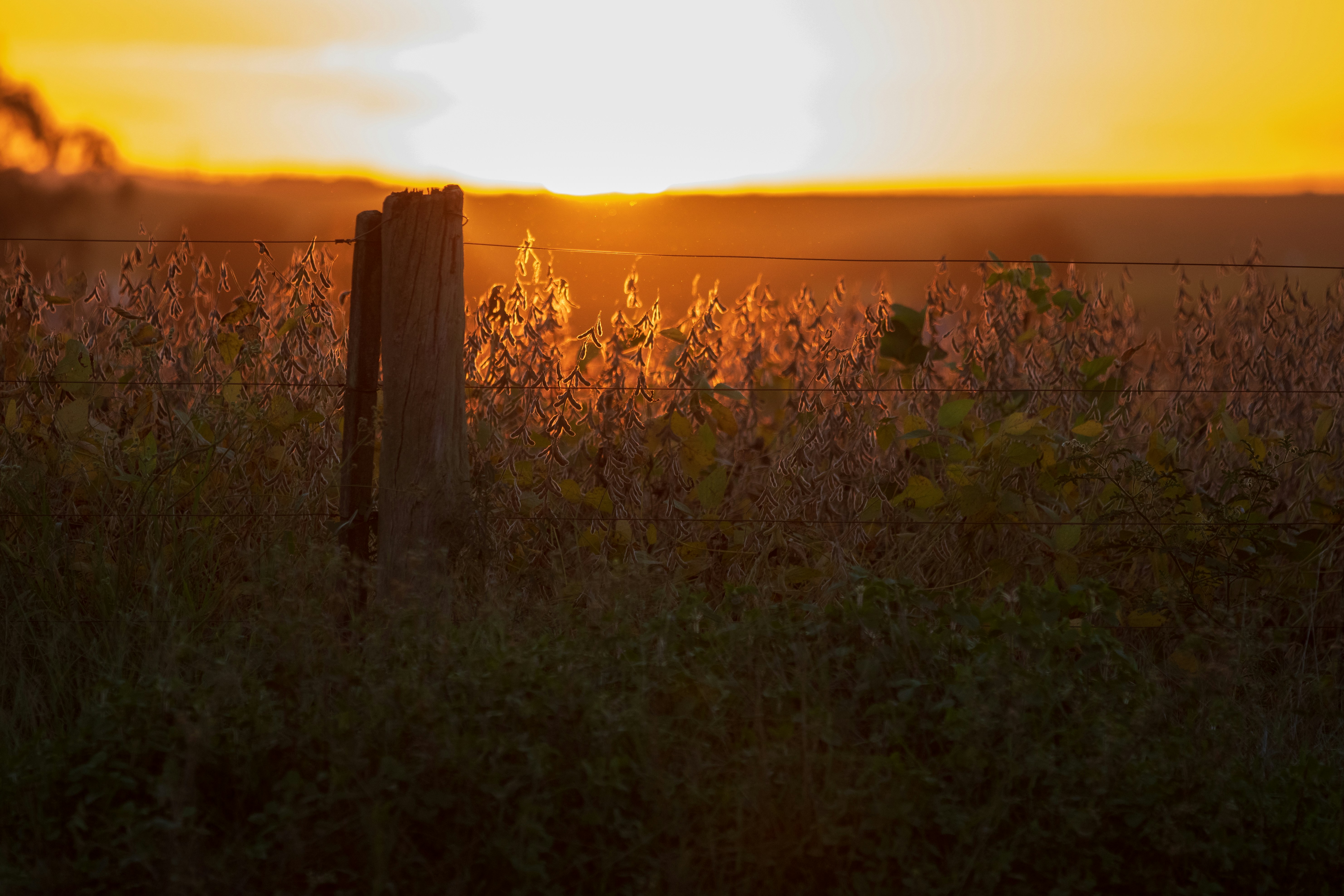 Photo by alexcaceres