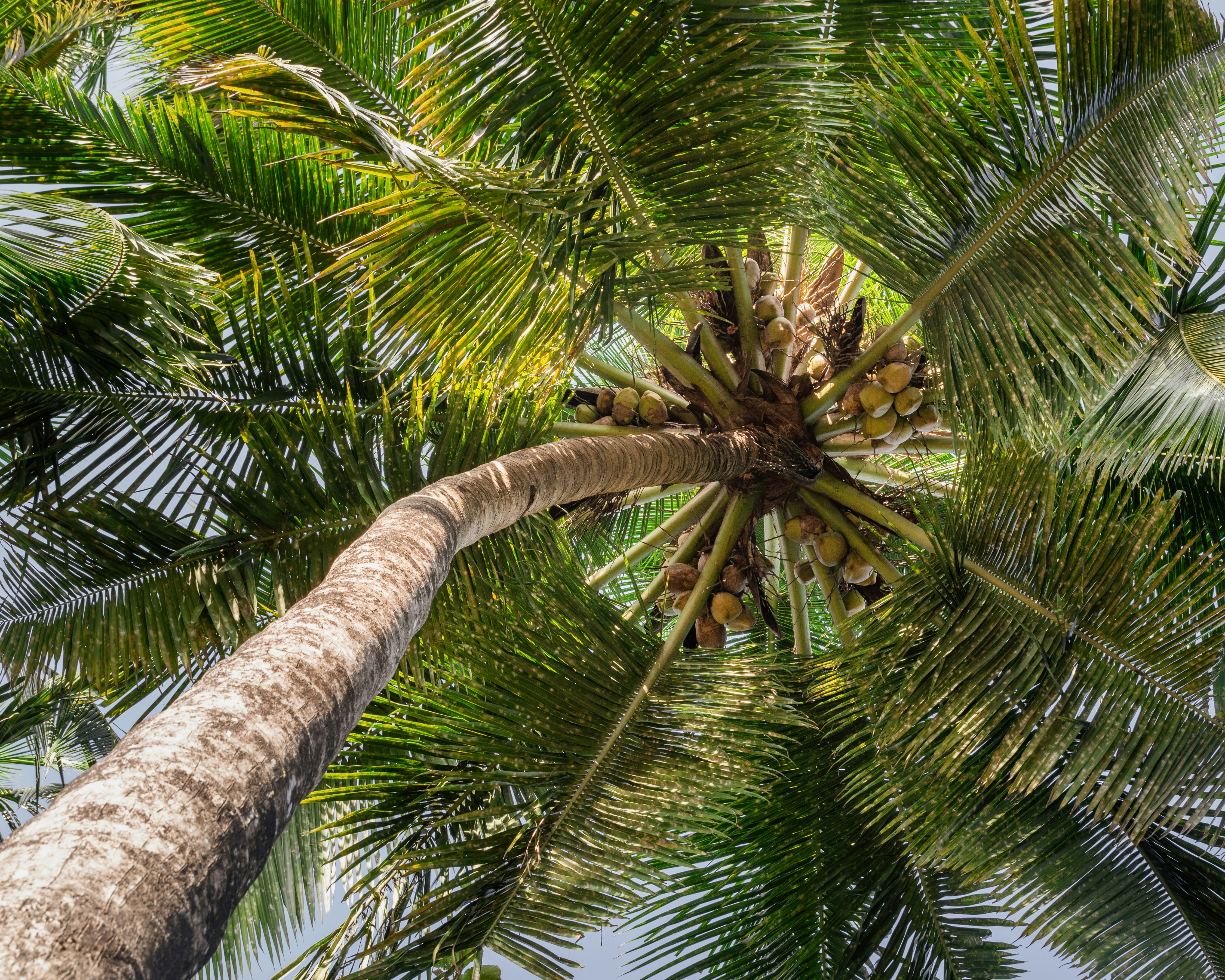 Photo by mgarchagudashvili